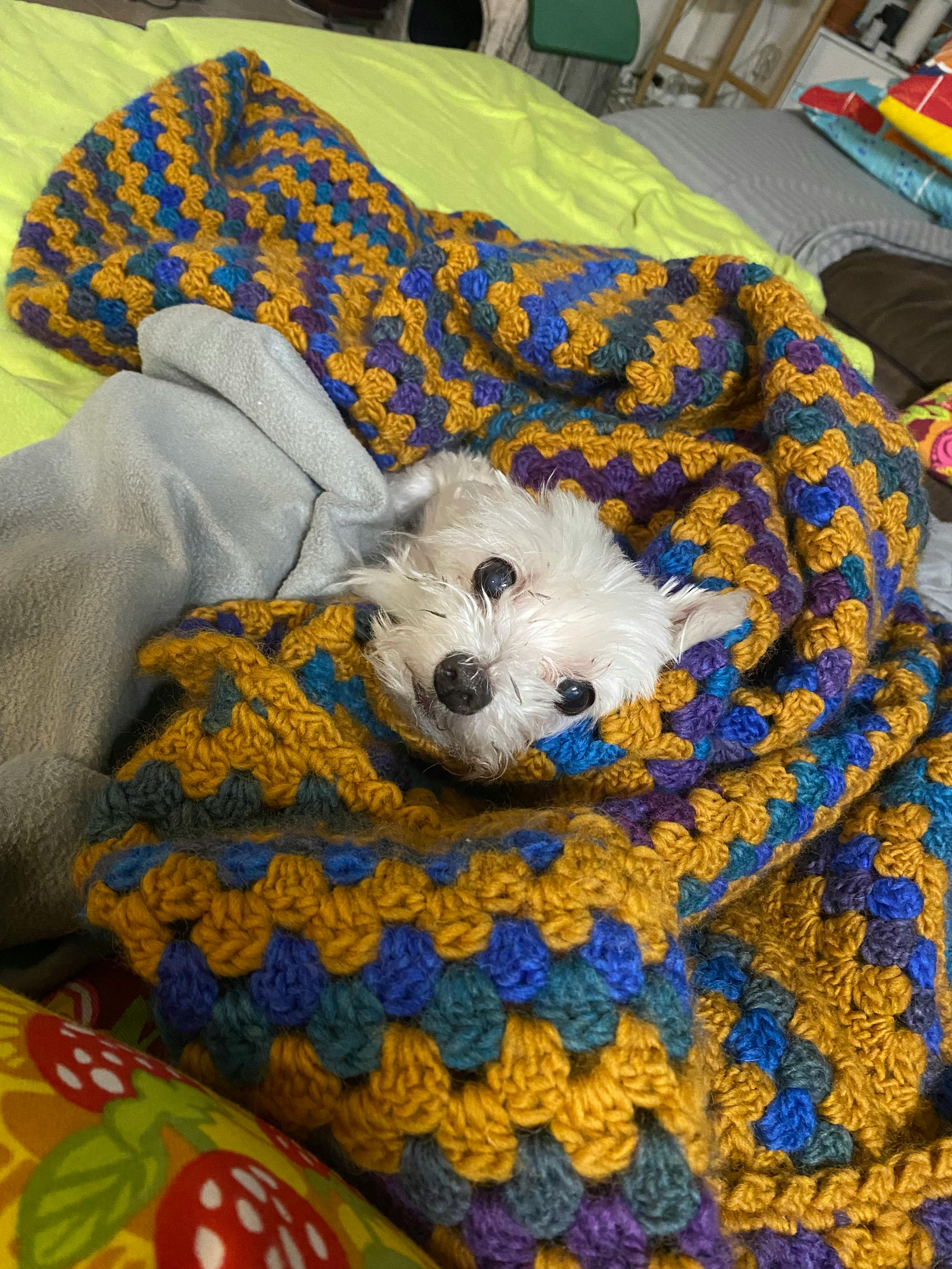 user avatar image for LiLoPe