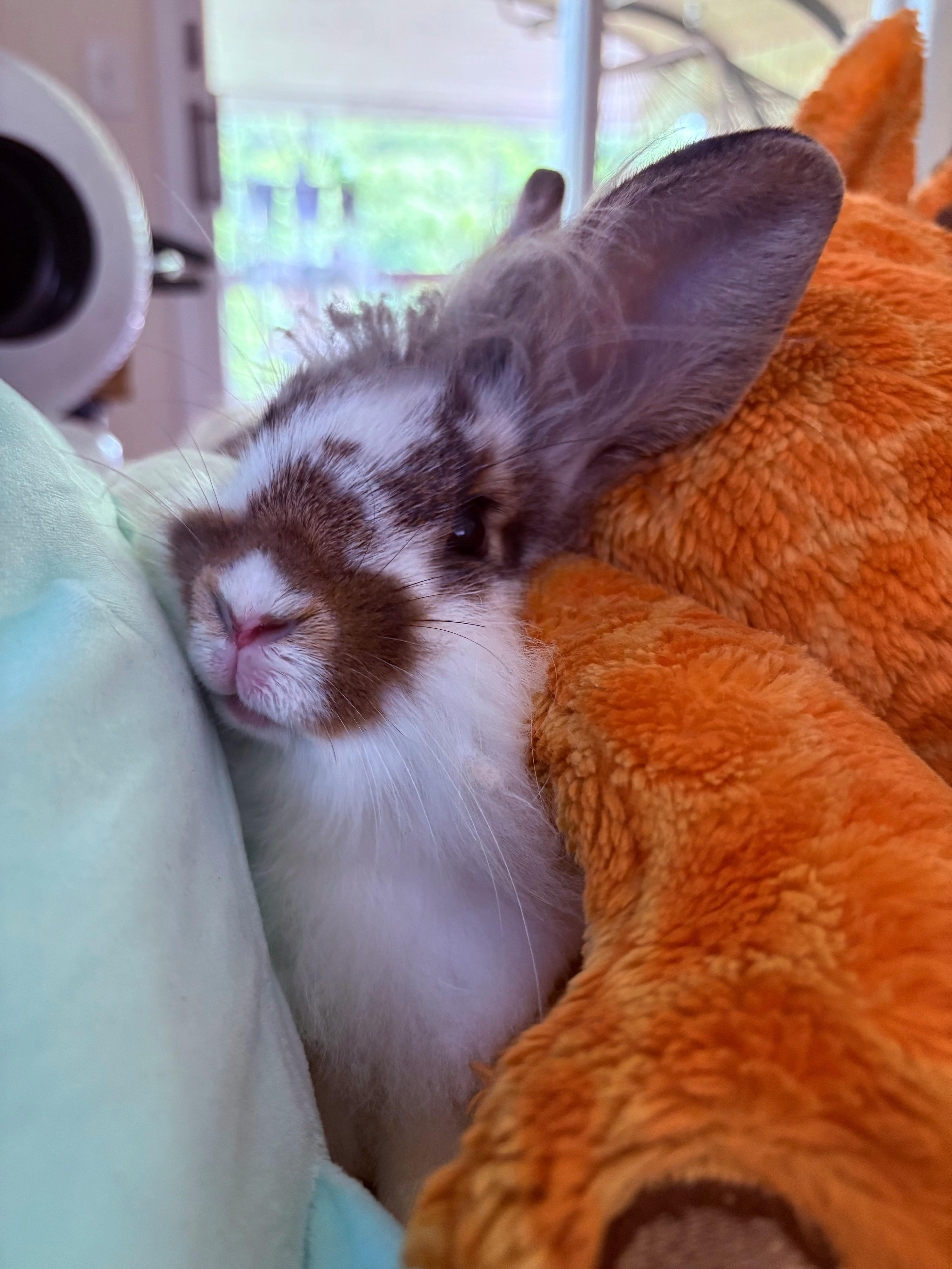 user avatar image for Brittany Nicole