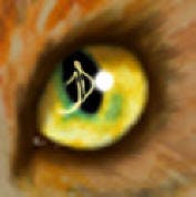 user avatar image for Skrunchey