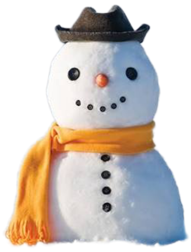 user avatar image for snowman jones