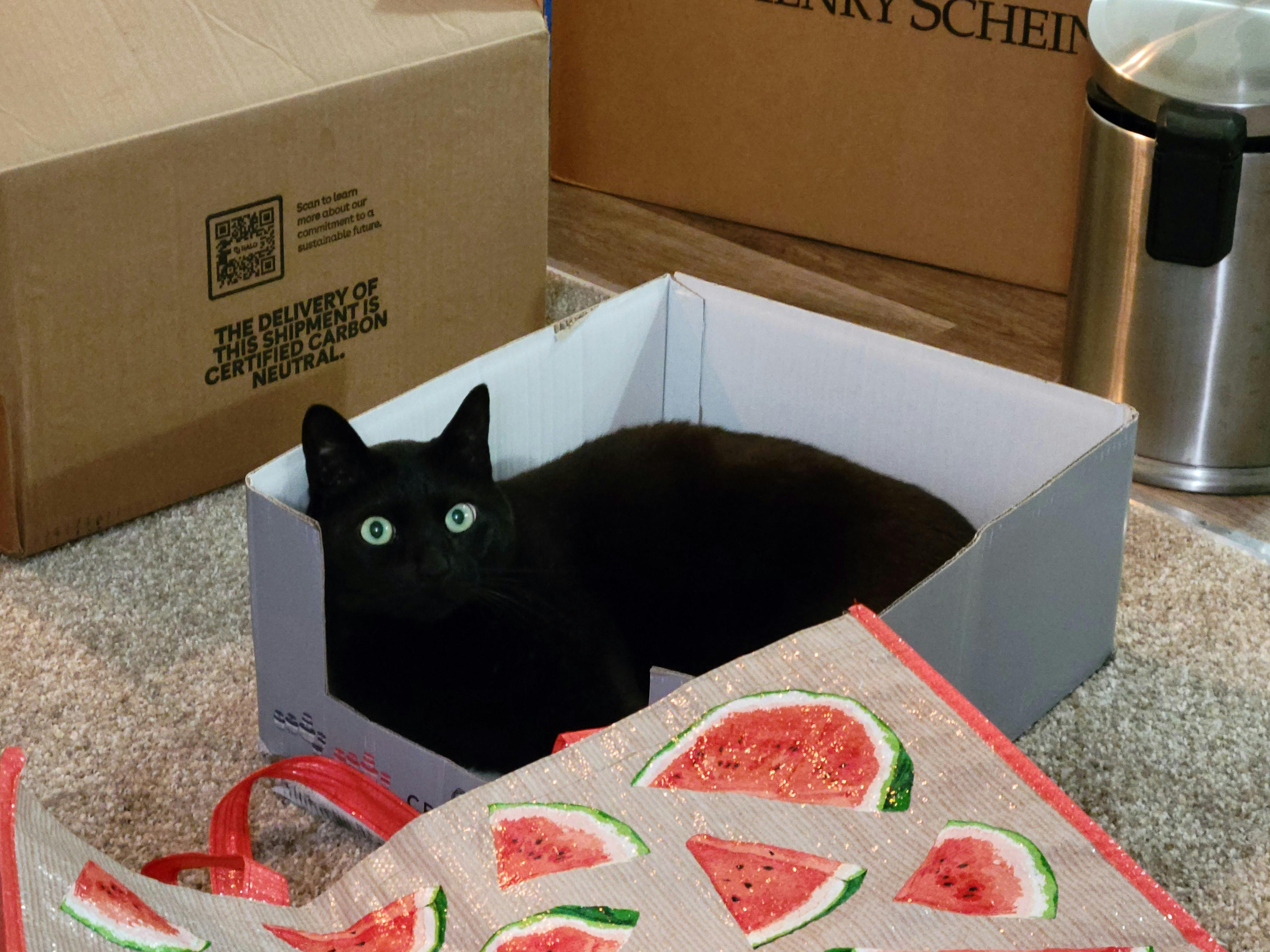 user avatar image for Samantha