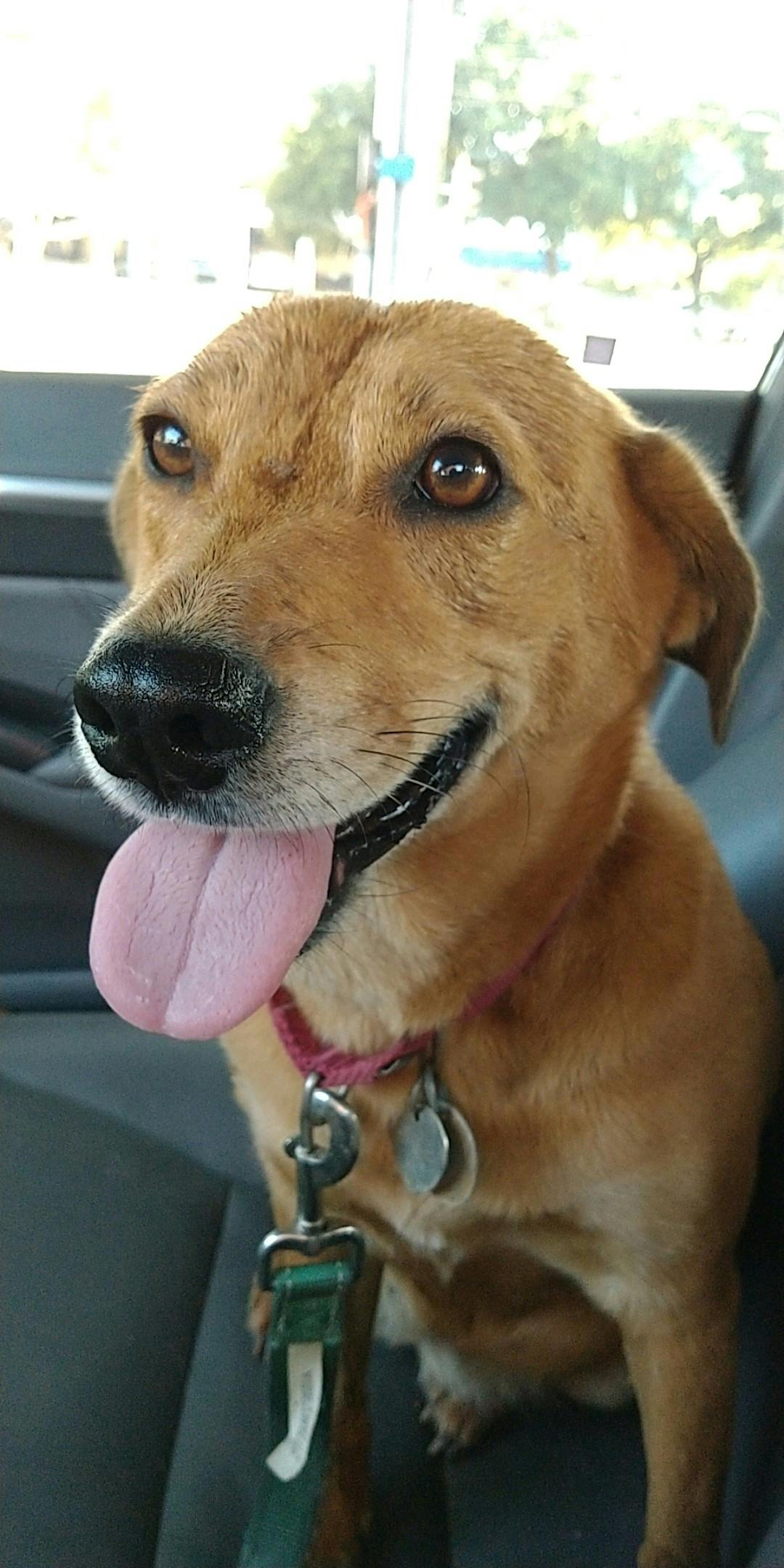 user avatar image for Kat Steel