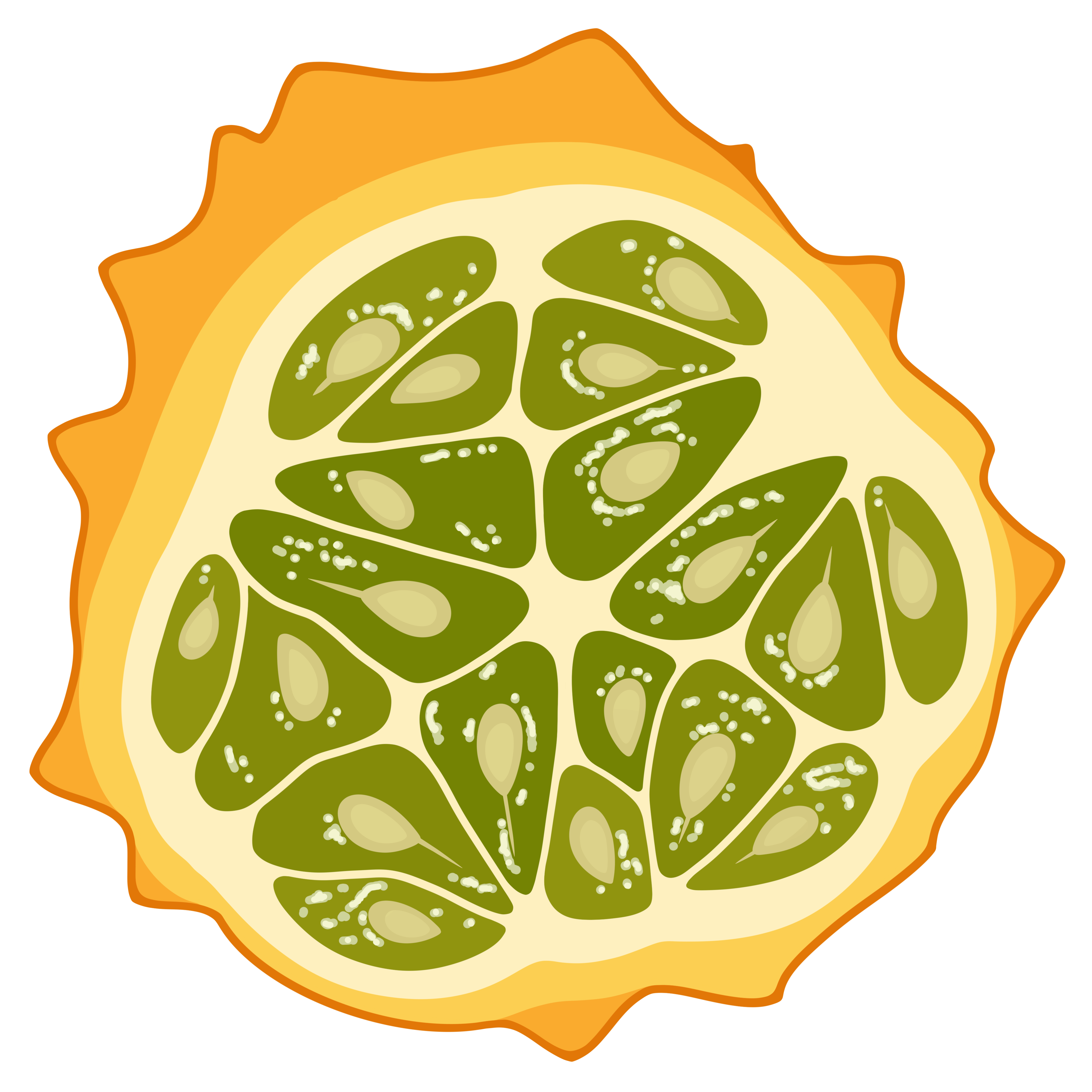 Pocket Fruit Vinyl Sticker 