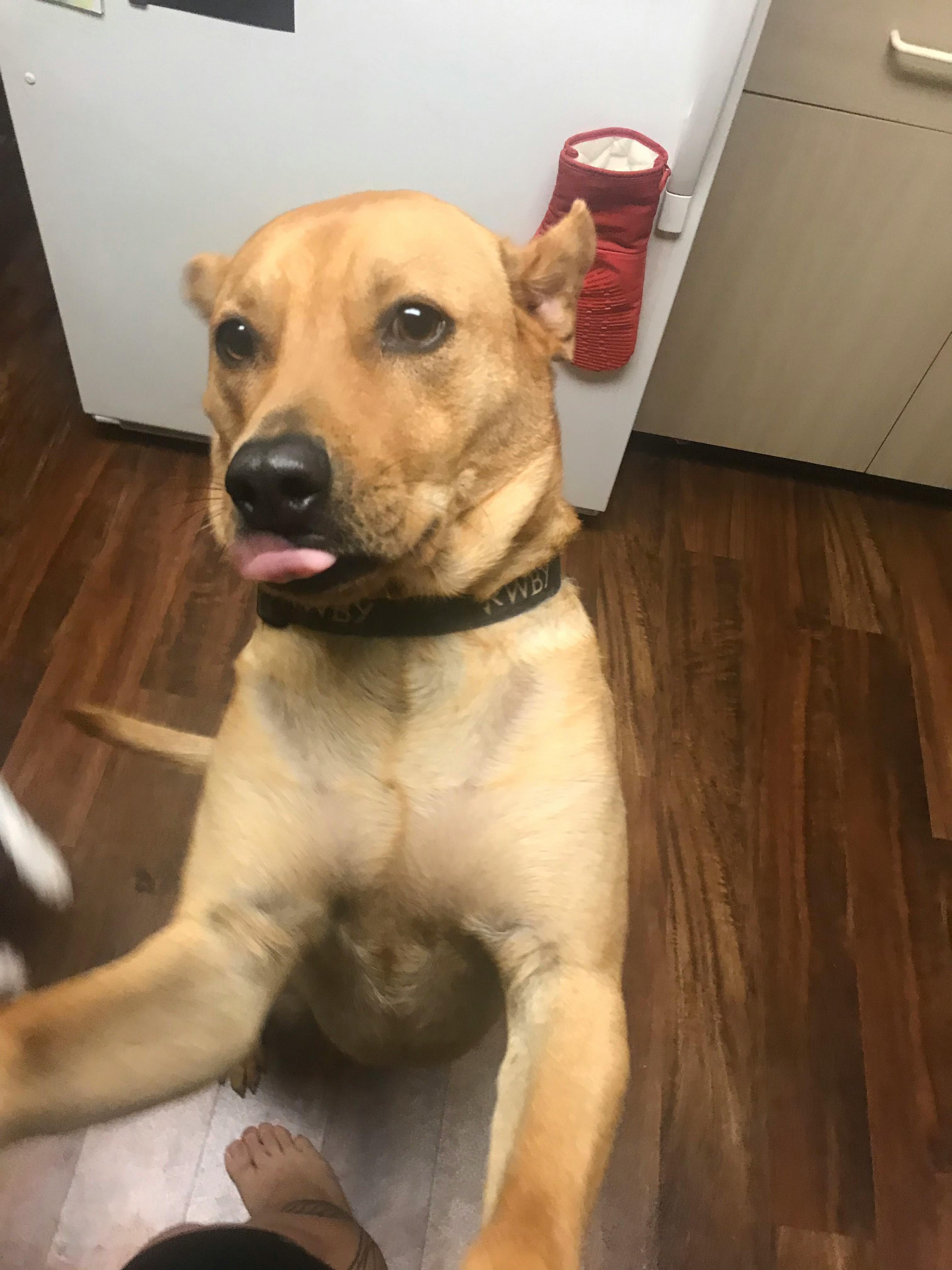 user avatar image for StephyDash