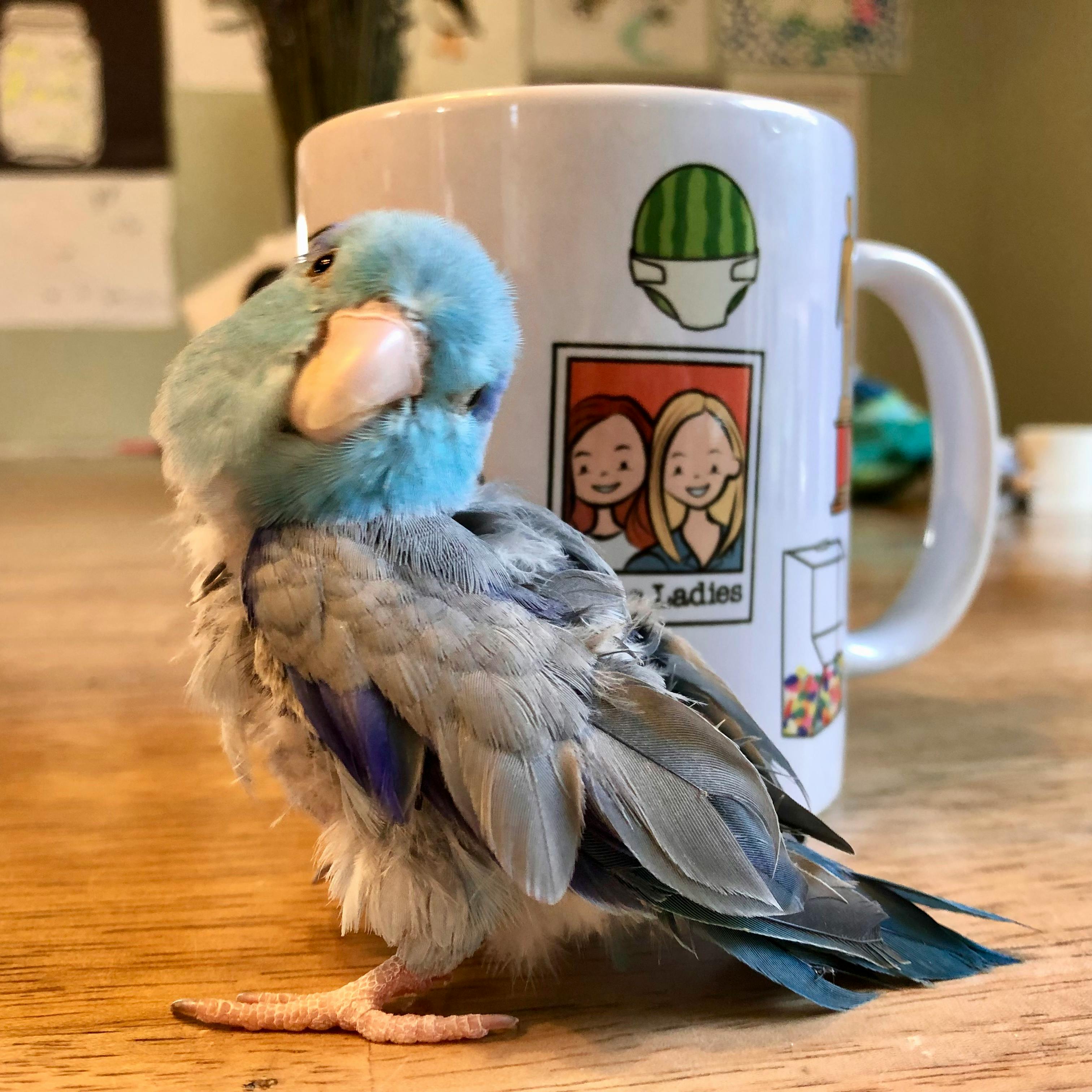 user avatar image for Megan Joyce