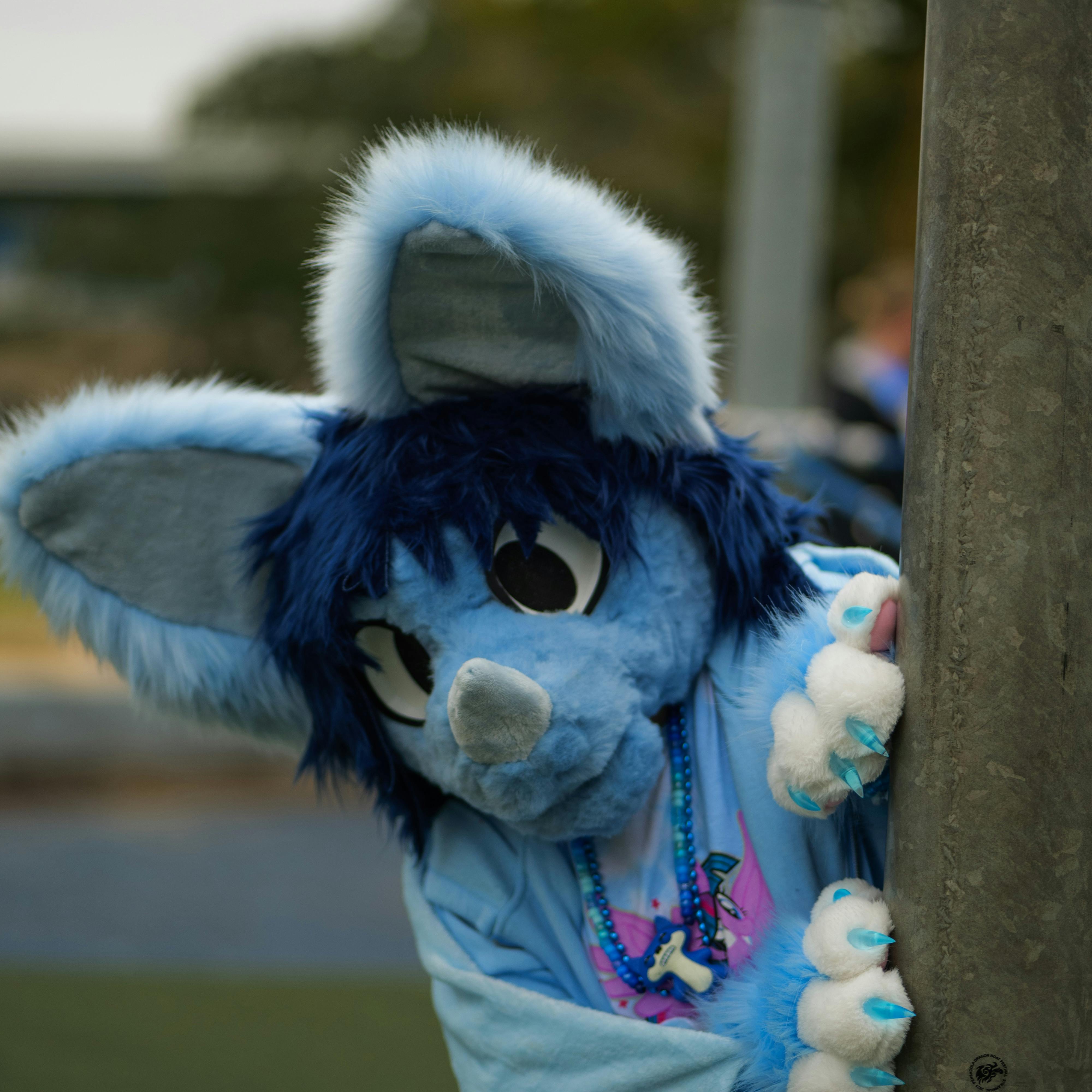 user avatar image for Echo