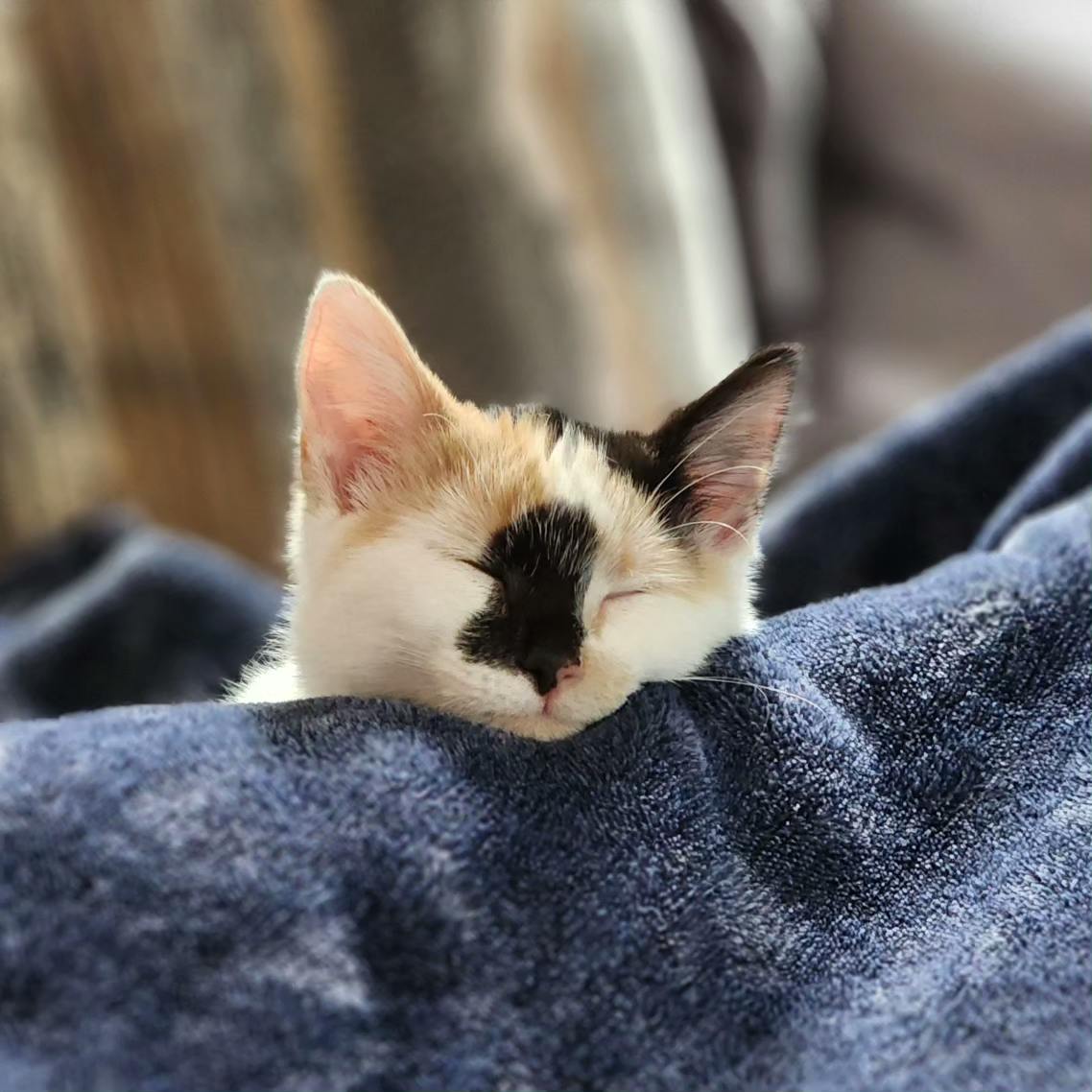 user avatar image for Nanners