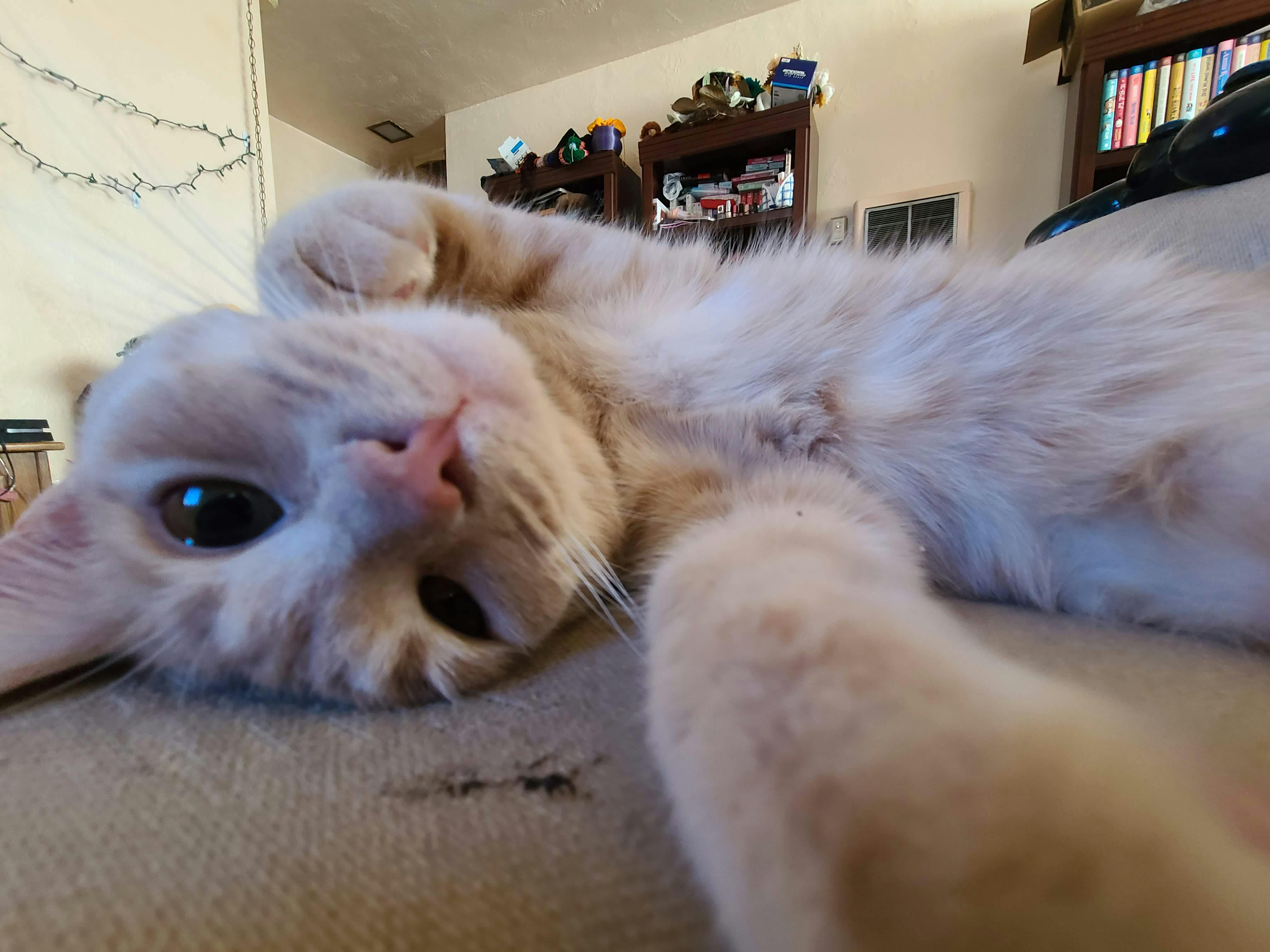 user avatar image for Stephanie T.