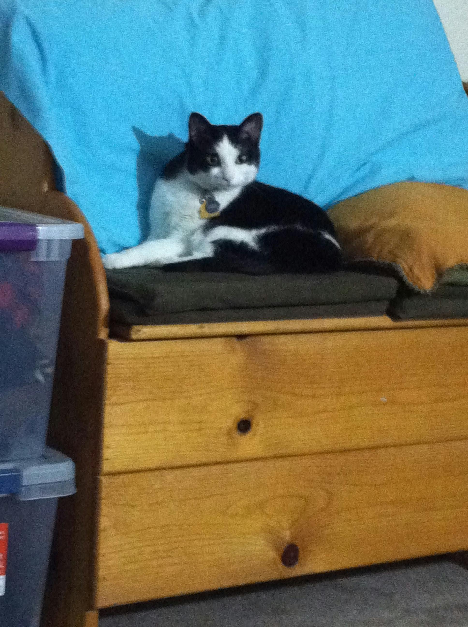 user avatar image for Heather