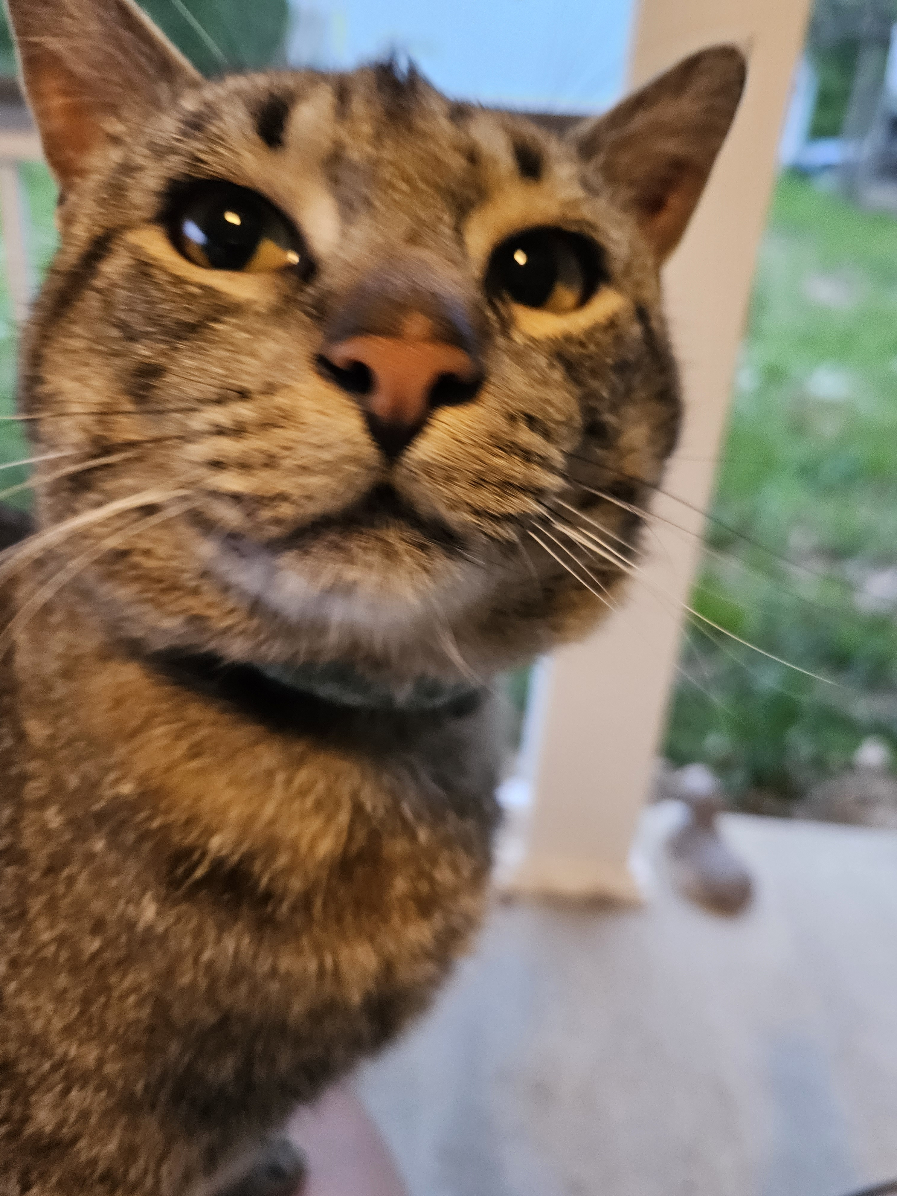 user avatar image for Rosalie