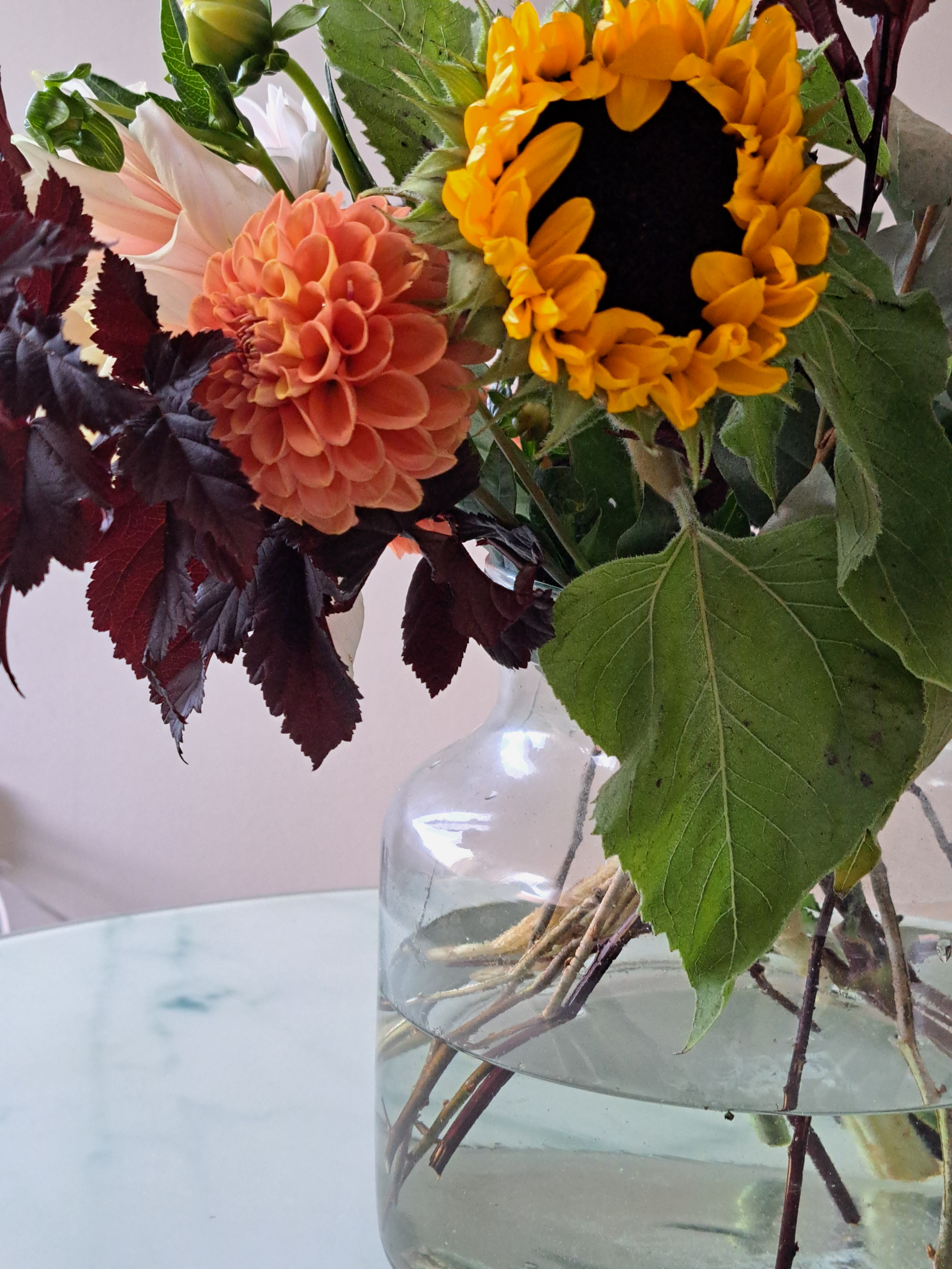 user avatar image for ie