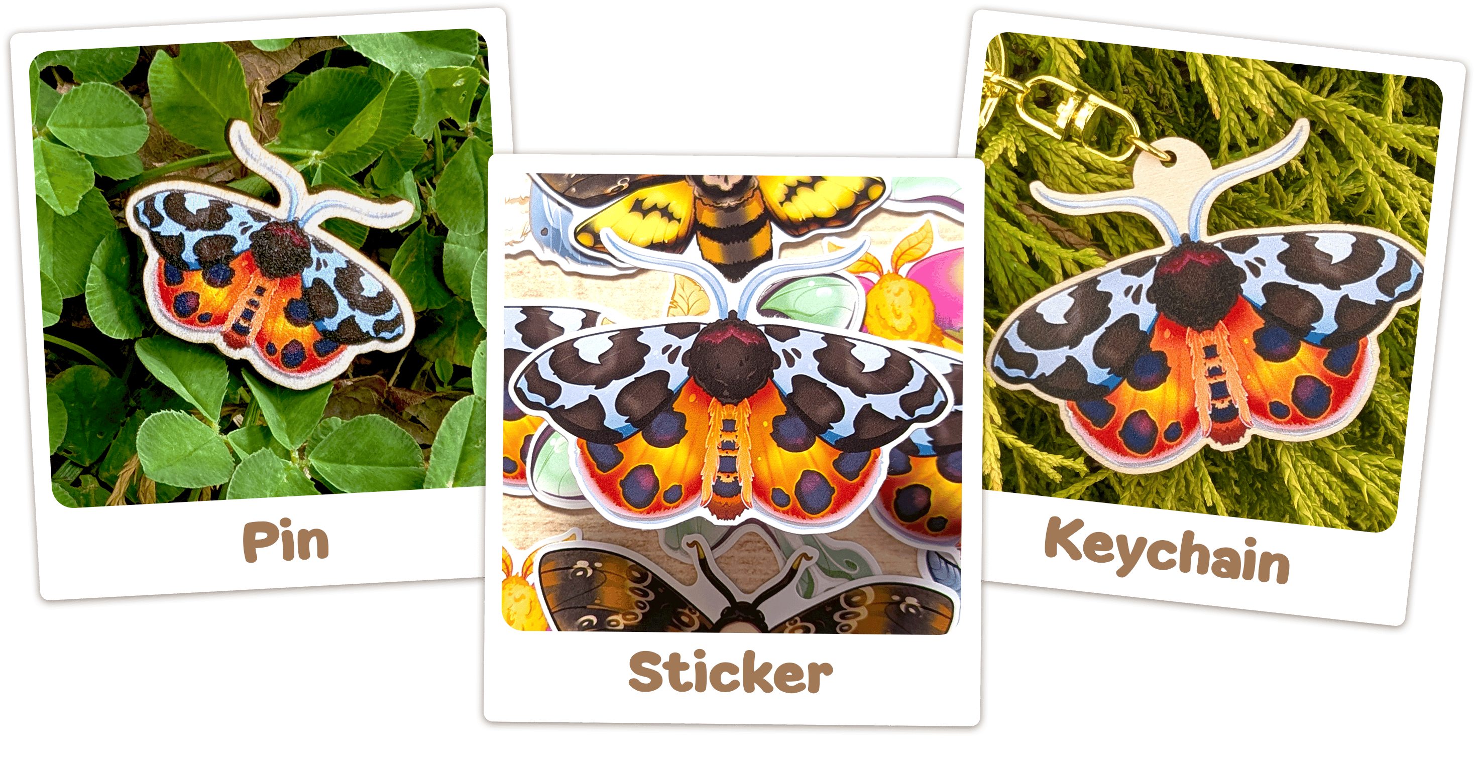 🌙 Matching Moths - Garden Tiger 🌙