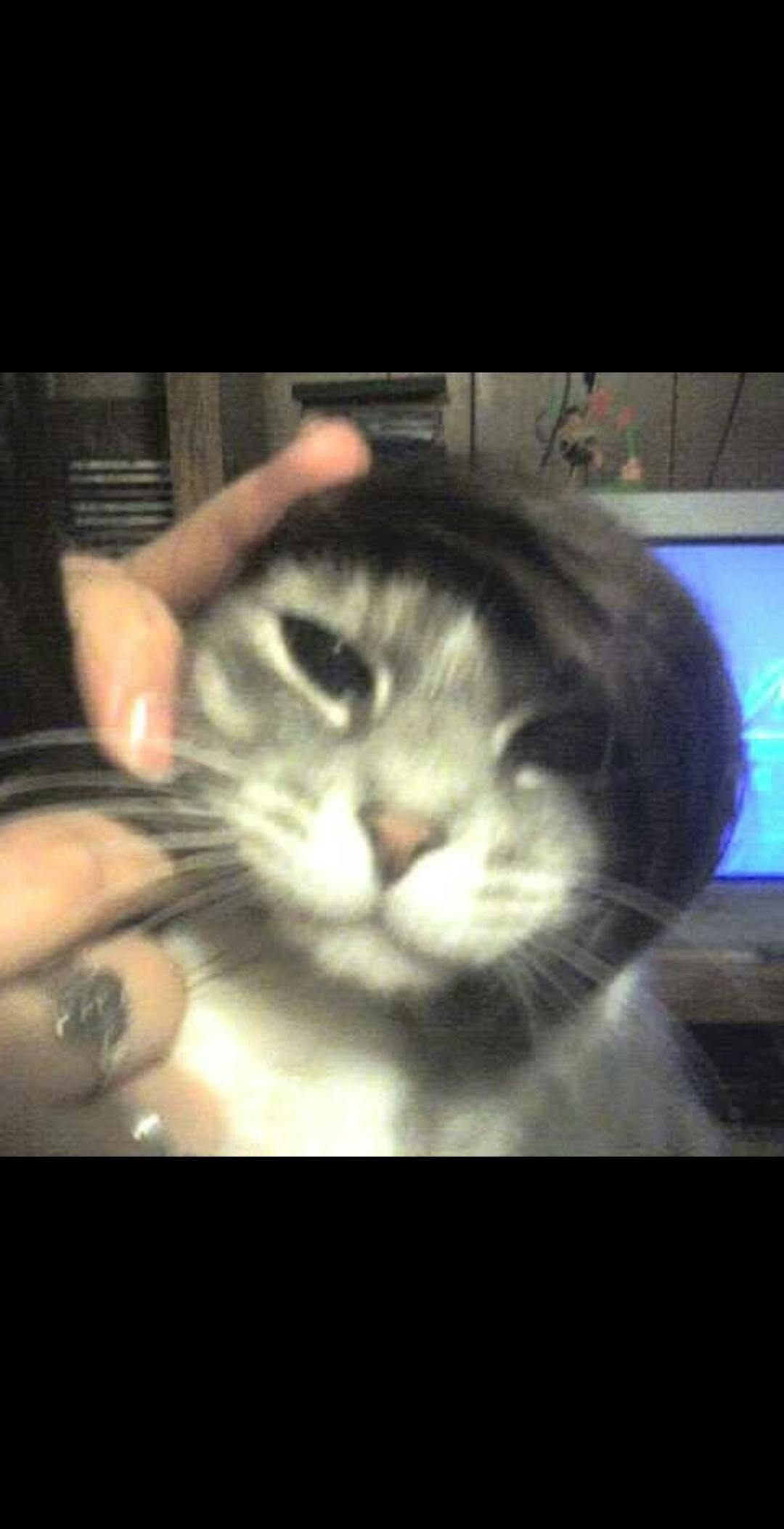 user avatar image for Connie Webster