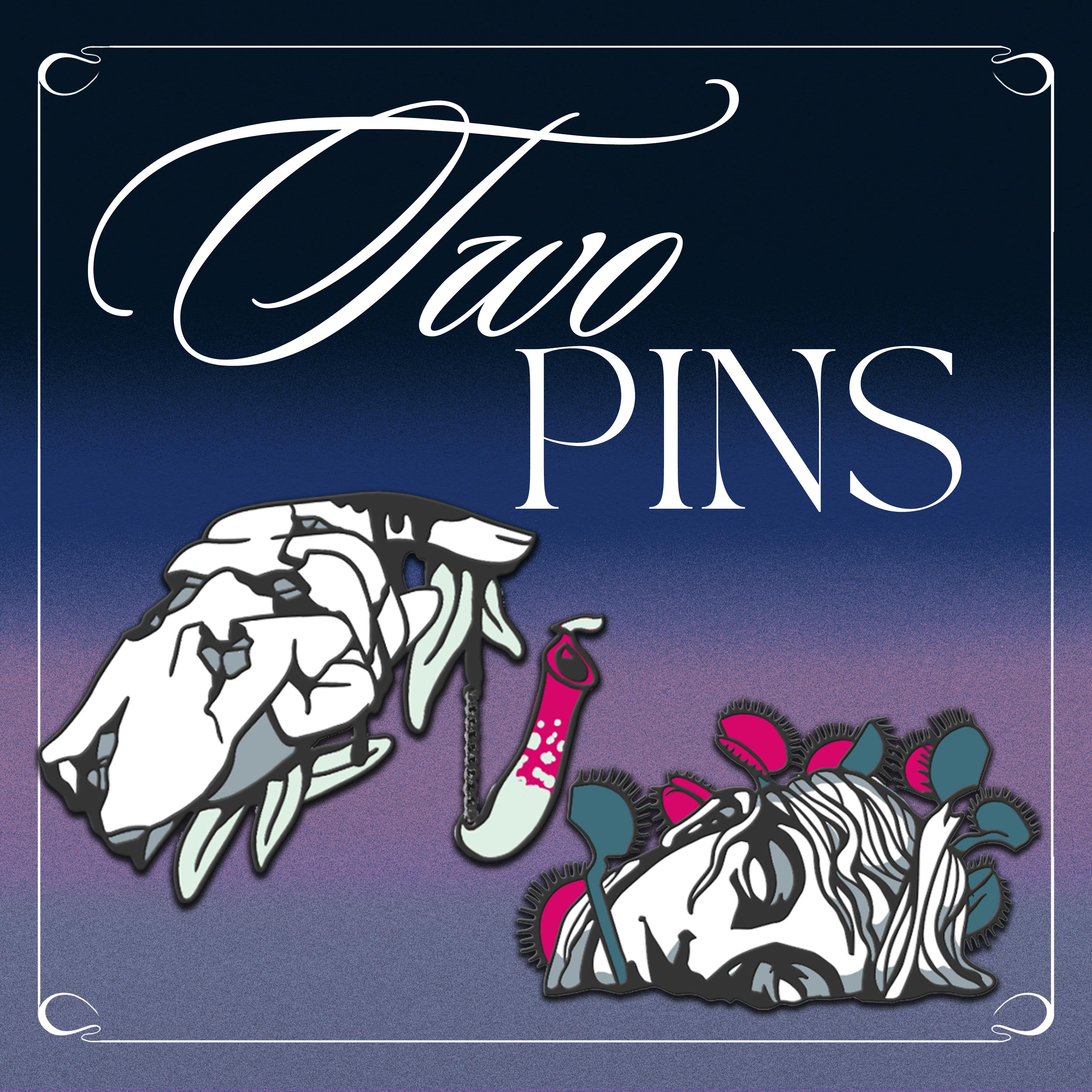 Two Pins