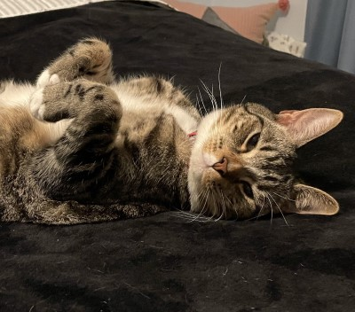 user avatar image for Nick