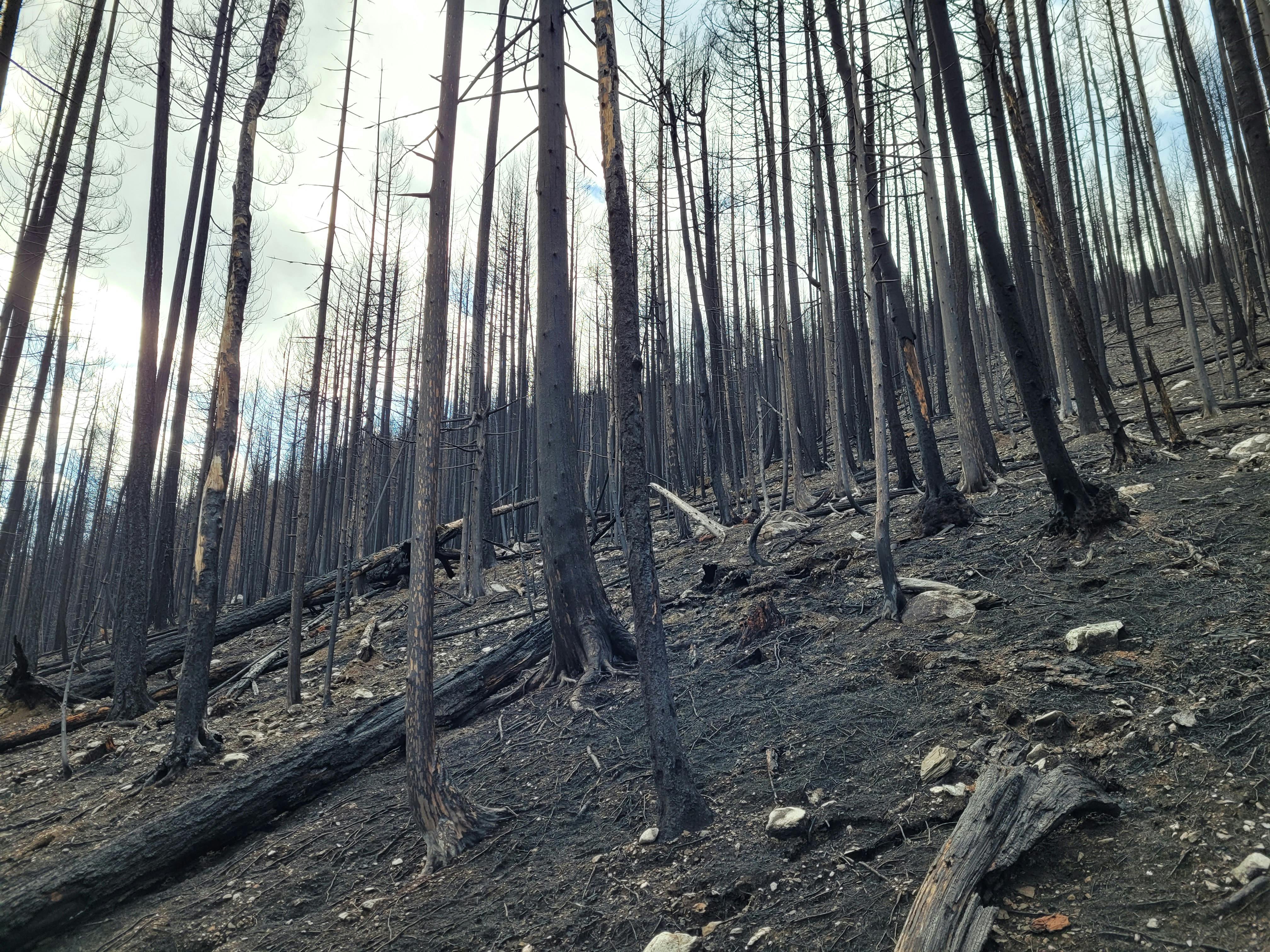 user avatar image for UncannyAndrew