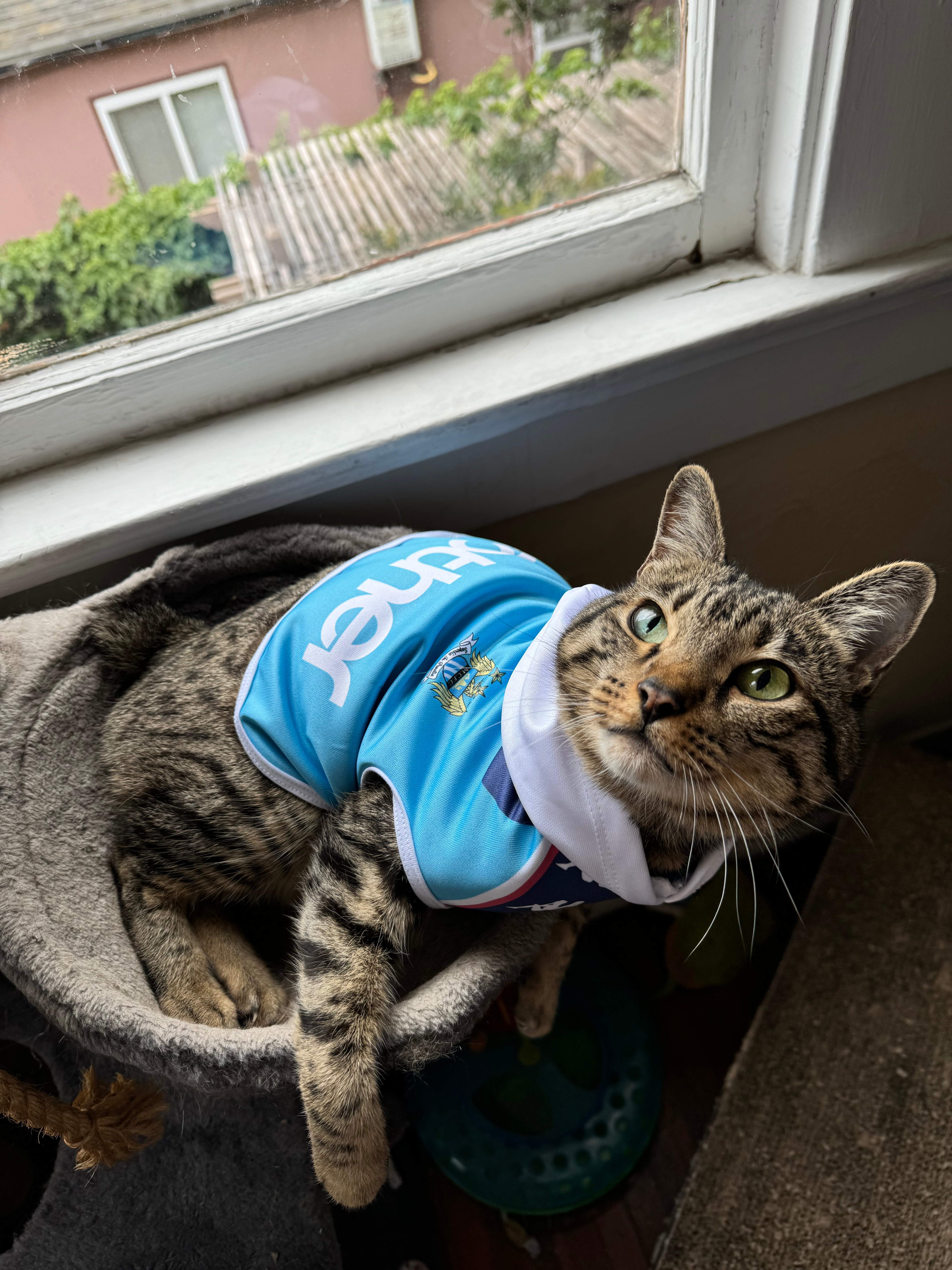 user avatar image for Joel Rosen