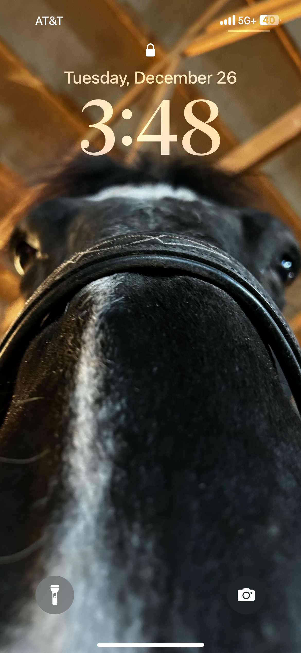 user avatar image for Doomsluge the Worldsinger