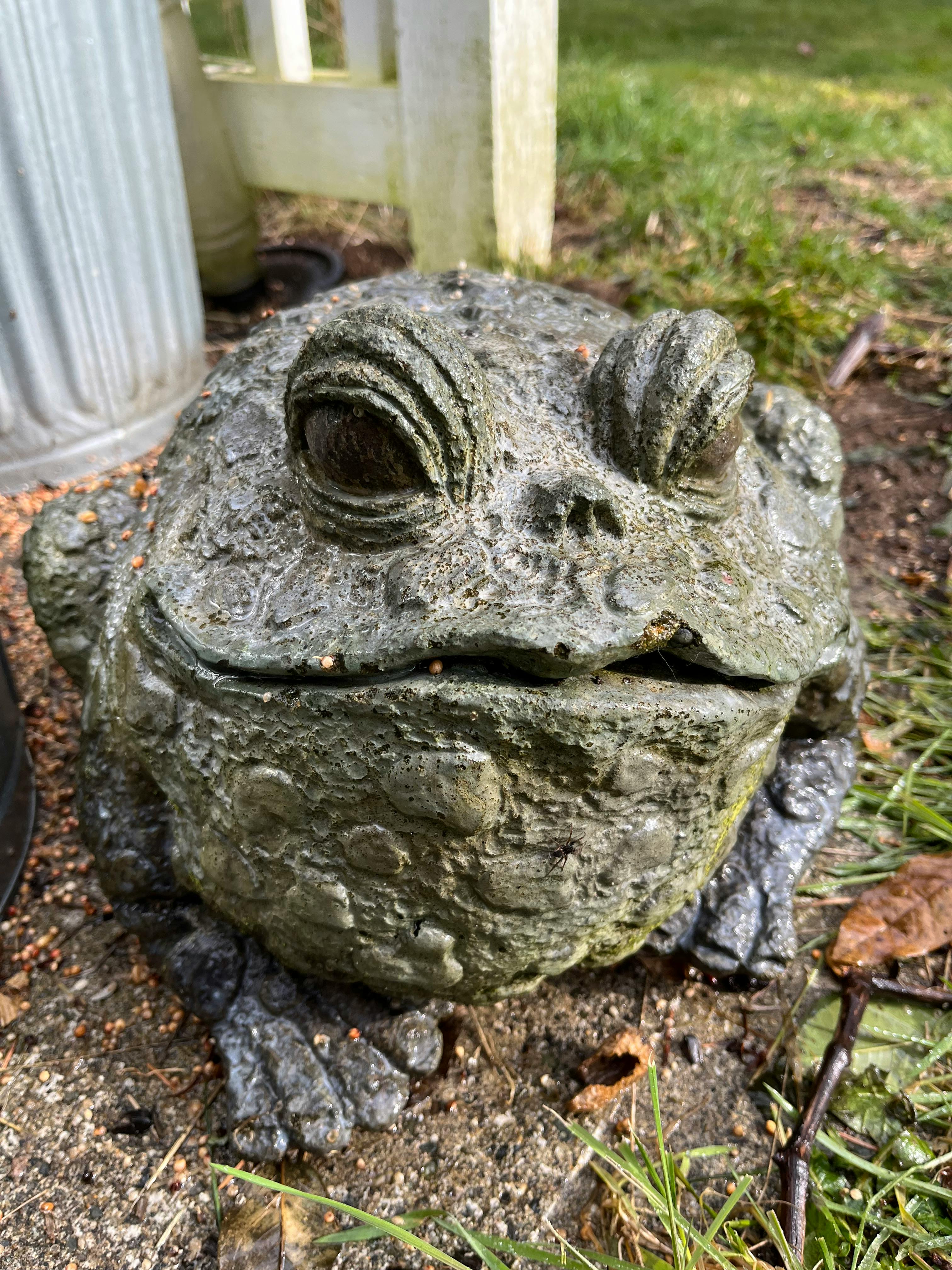 user avatar image for Deborah Metzler