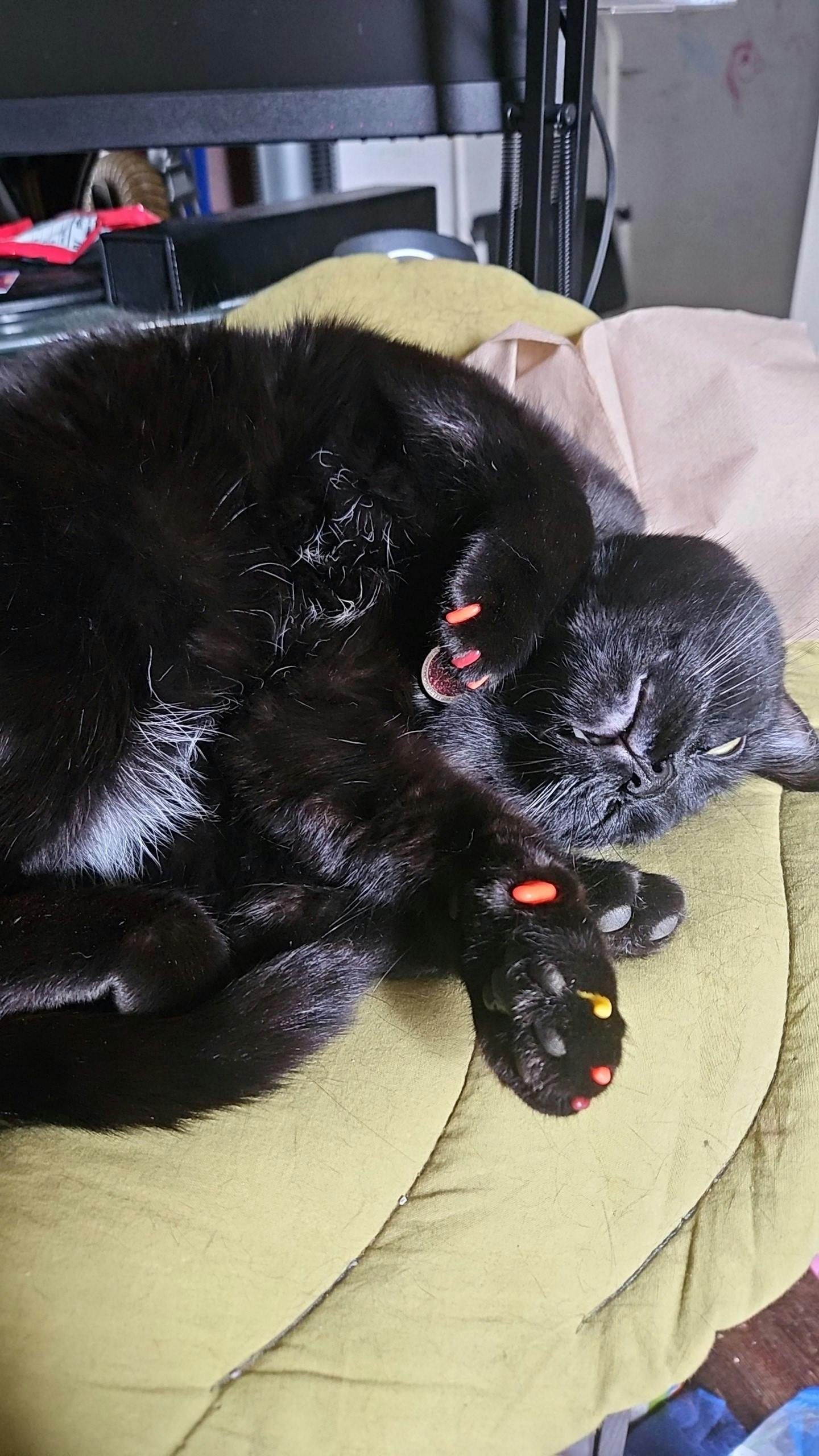 user avatar image for Megara Weyrauch