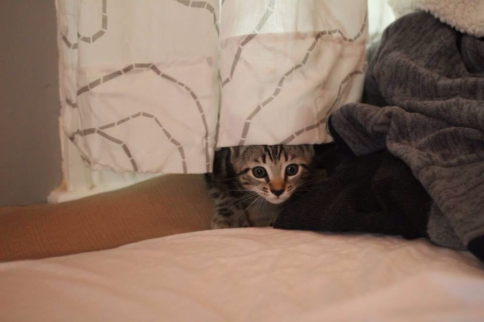 user avatar image for Stephen McCarthy