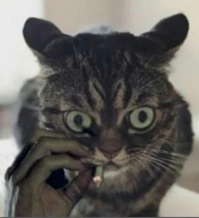 user avatar image for Jerric