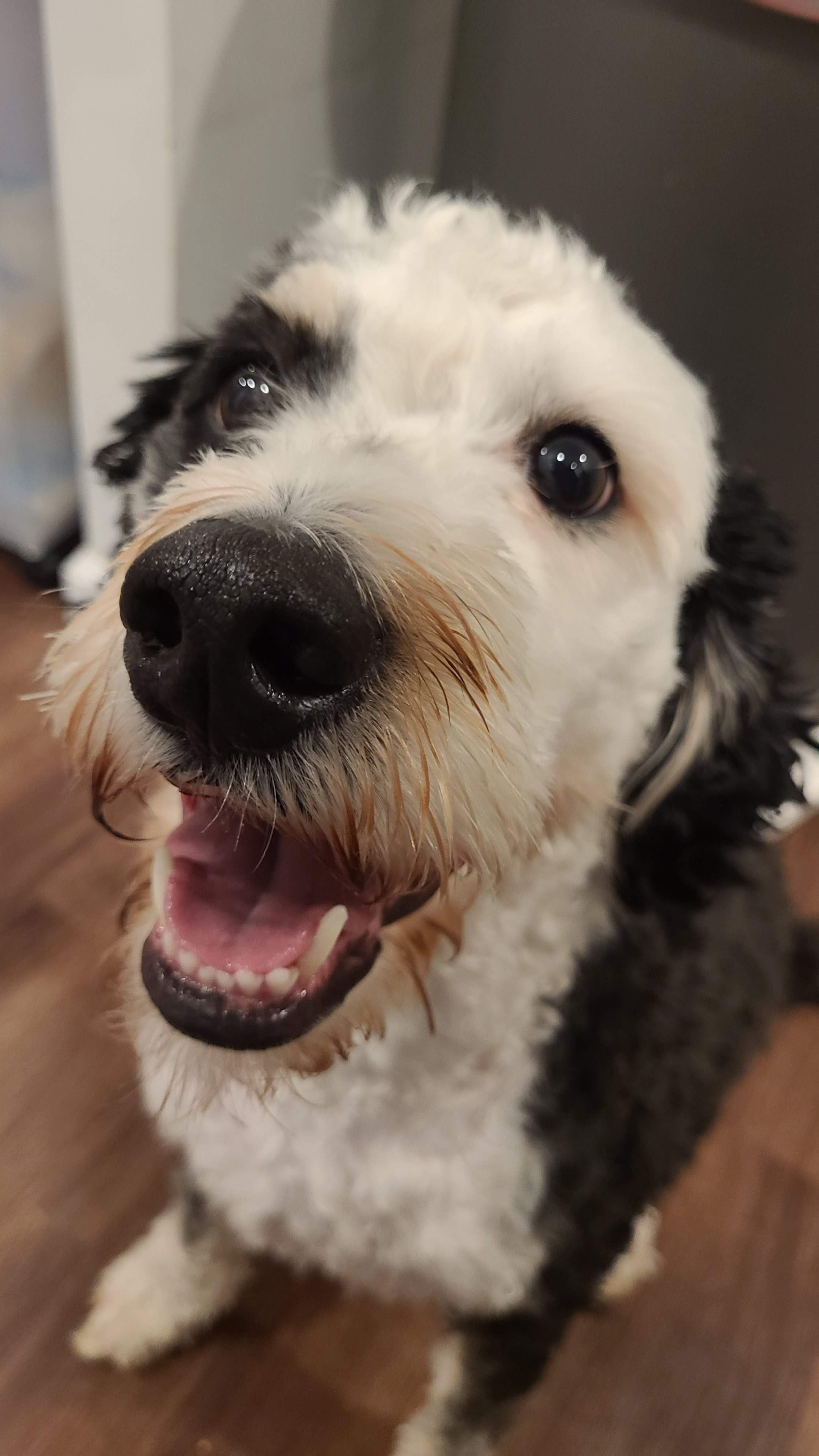 user avatar image for Regina