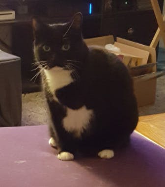 user avatar image for Kevin S