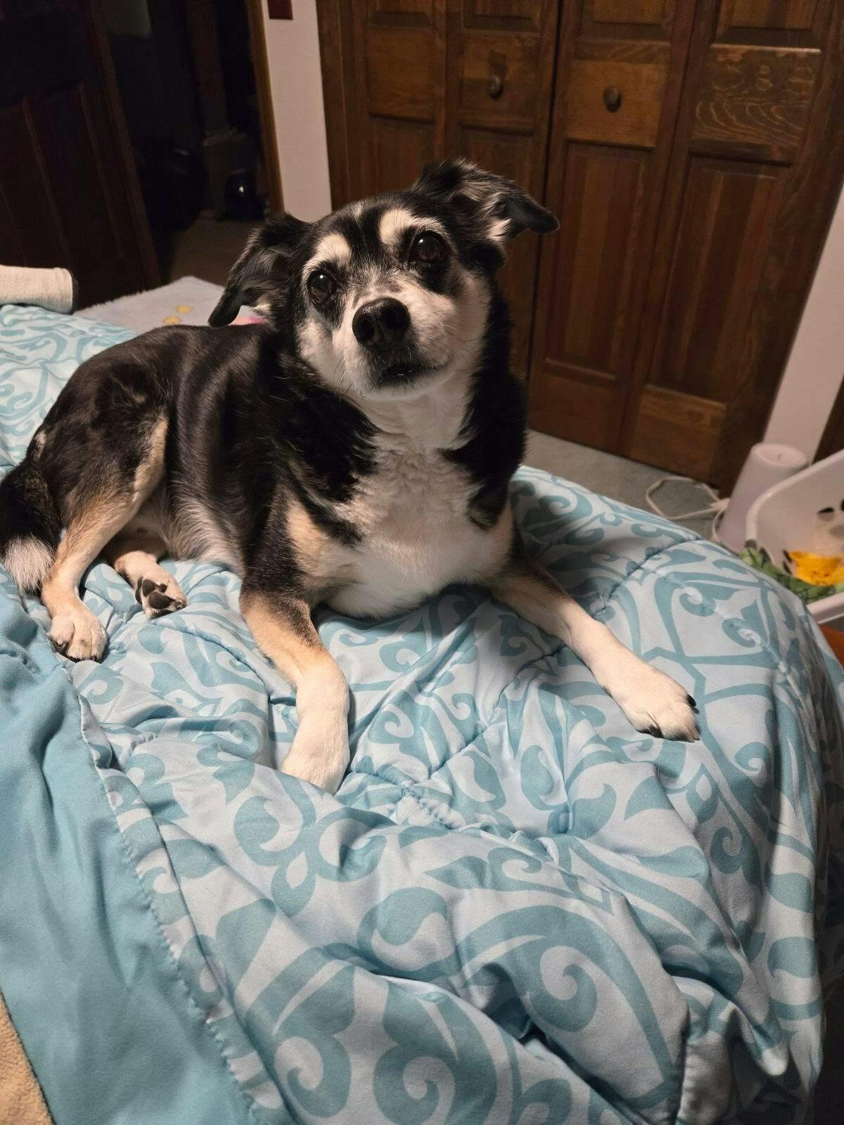 user avatar image for stormysbest