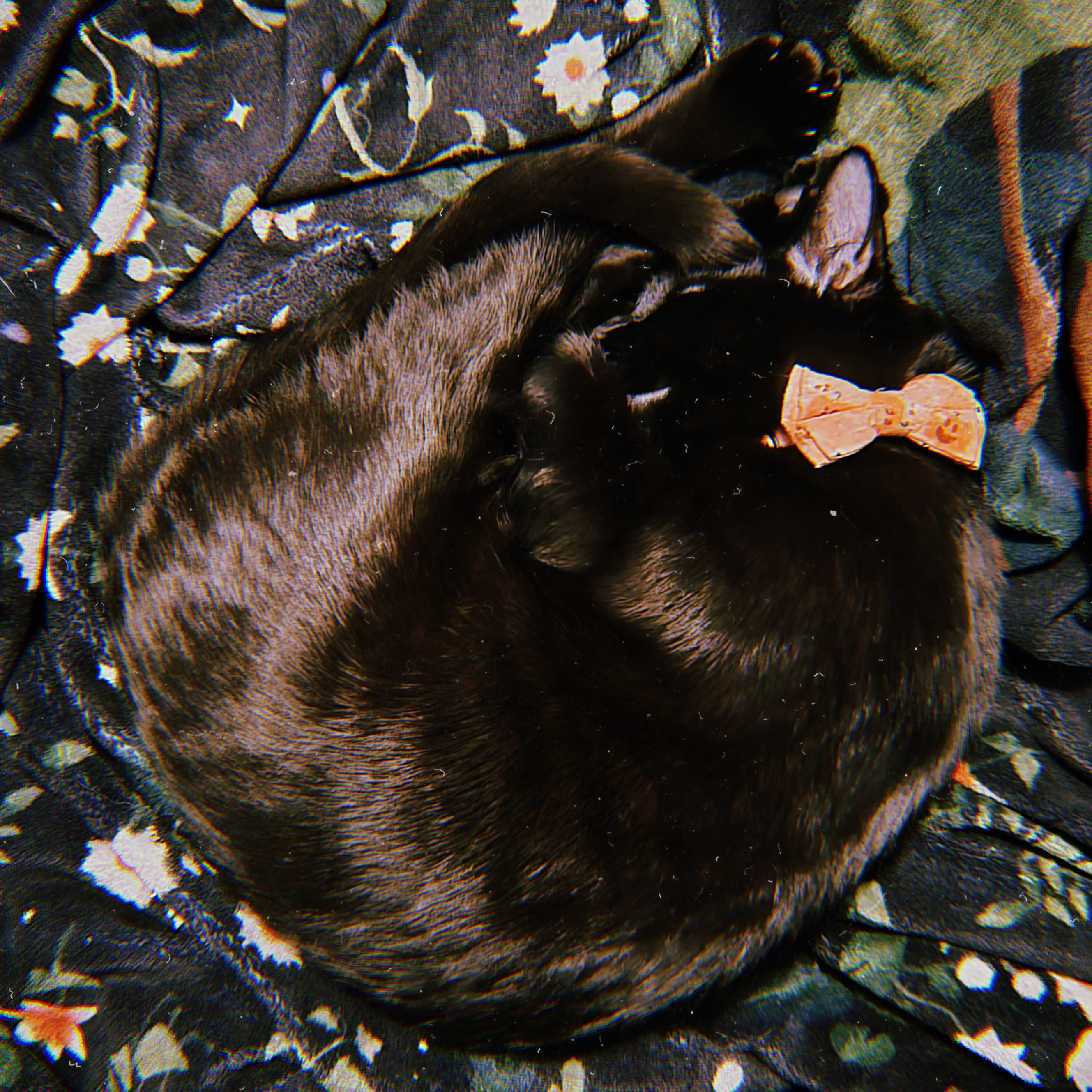 user avatar image for Alex