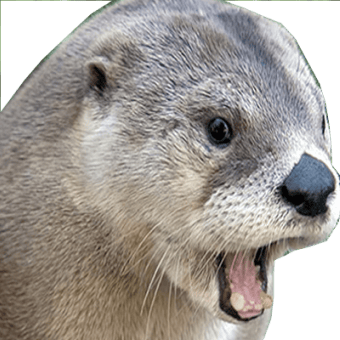 user avatar image for Atlas