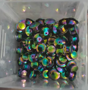 Rainbow locking backs x2 
