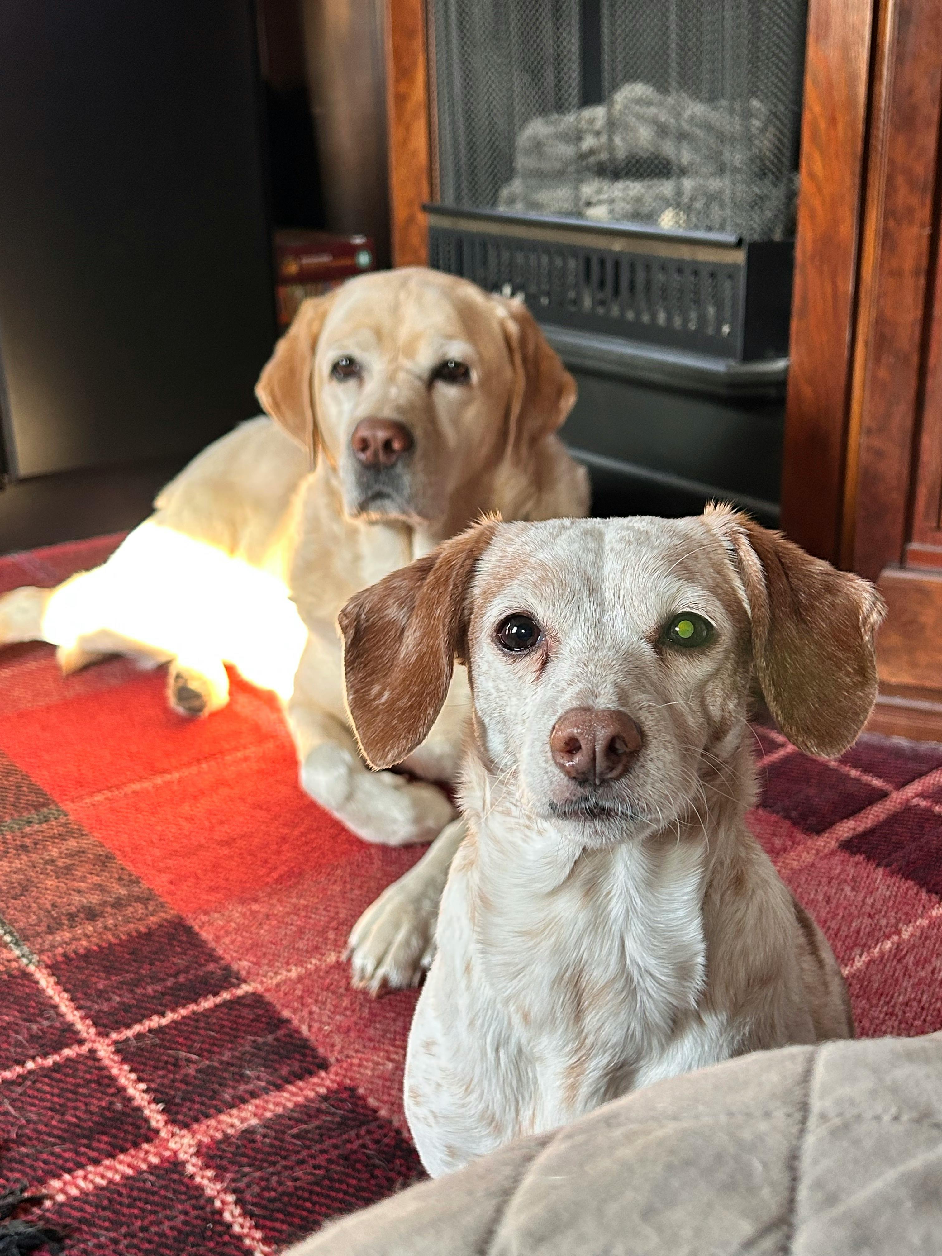 user avatar image for Matthew Karns