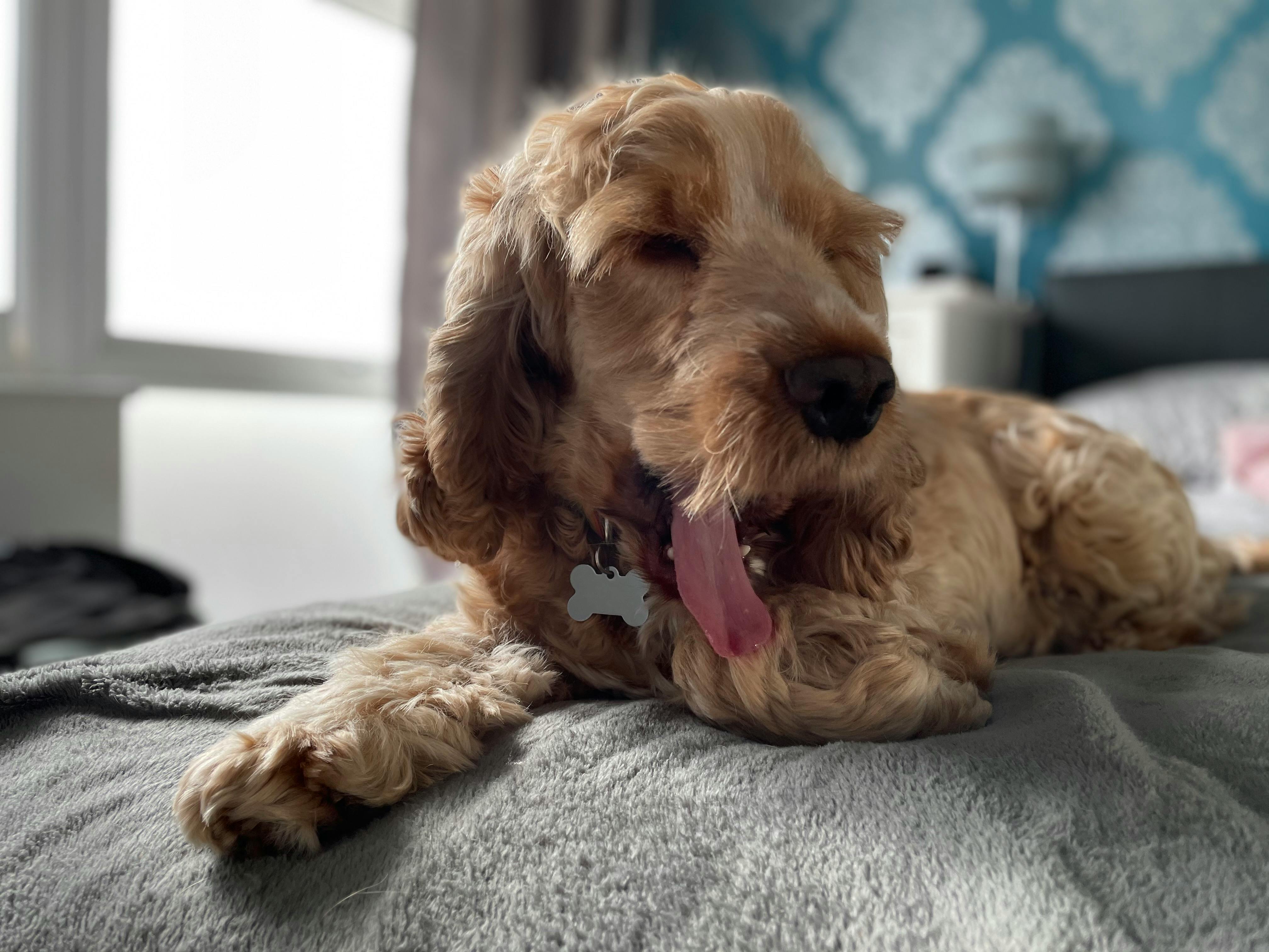 user avatar image for Holly