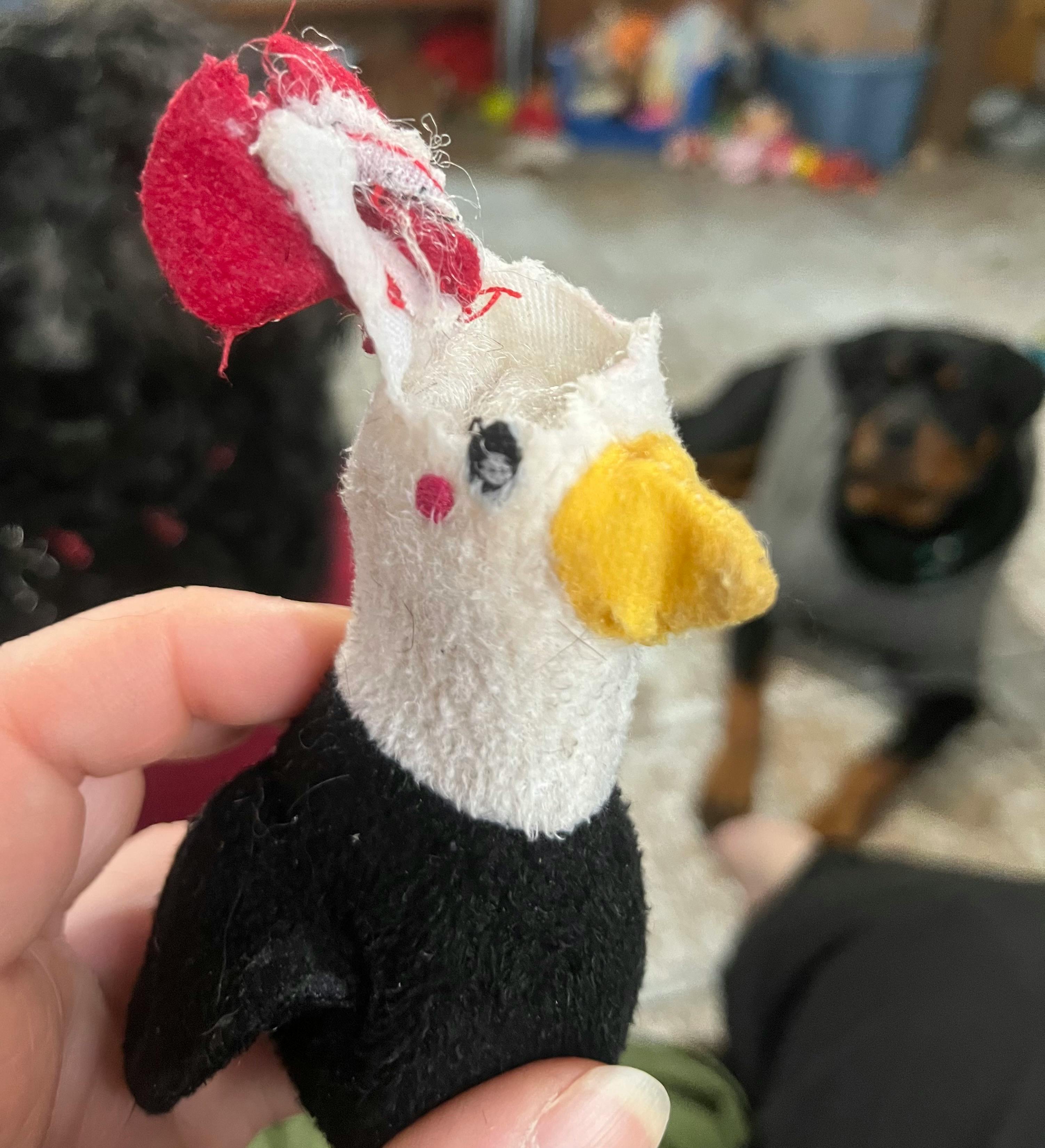 user avatar image for Amanda