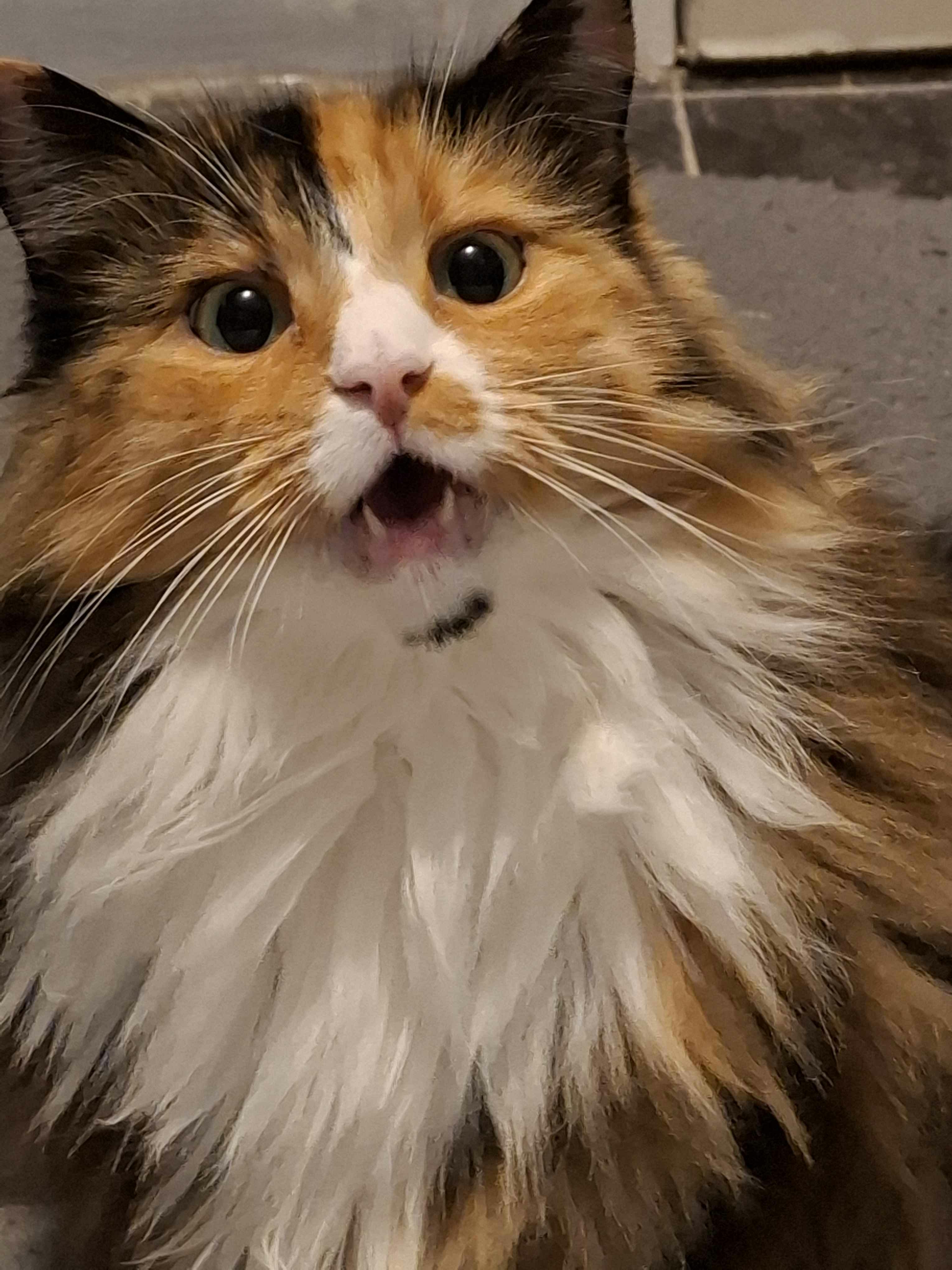 user avatar image for IdleAnnarchy