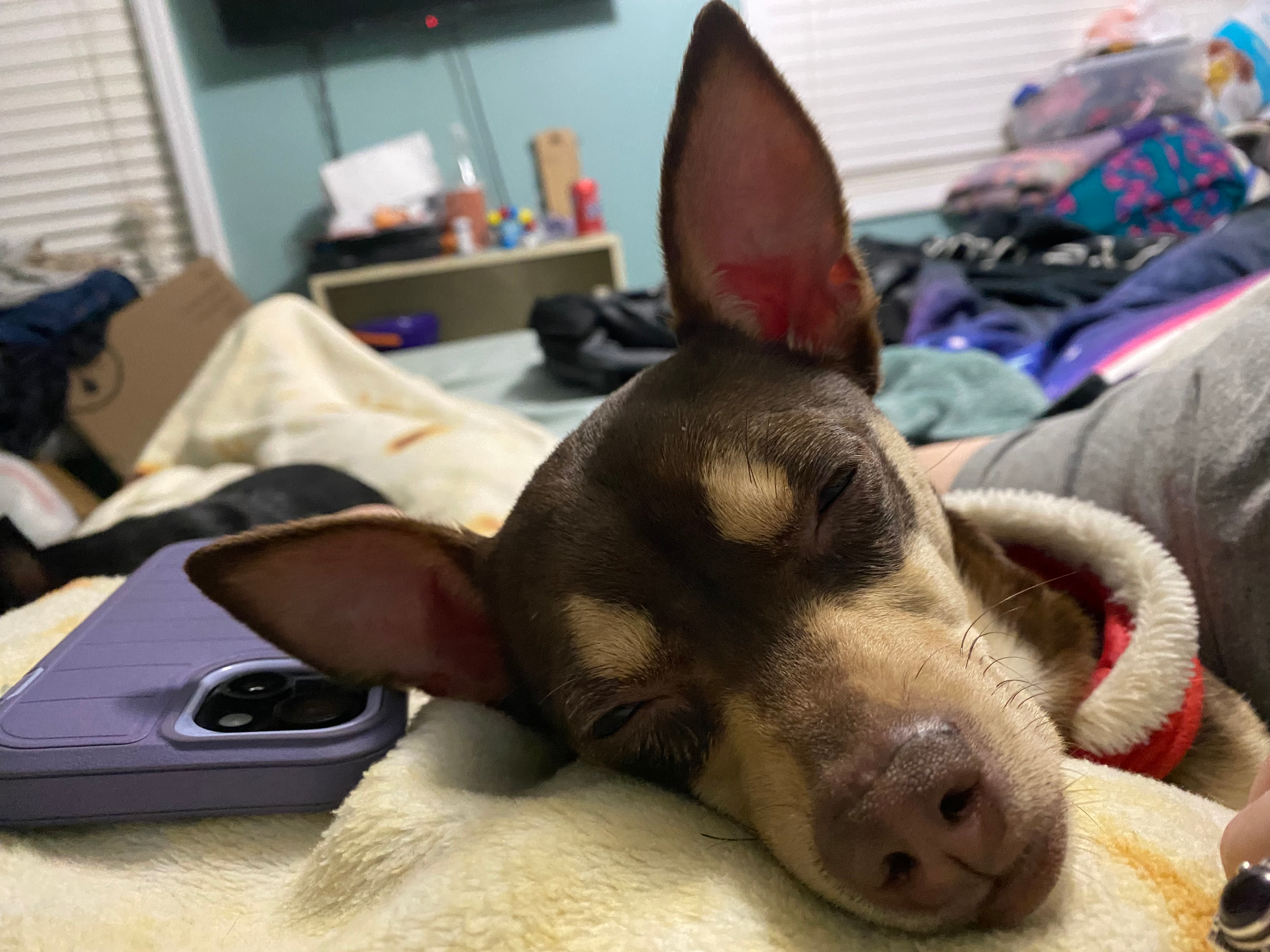 user avatar image for Eli L