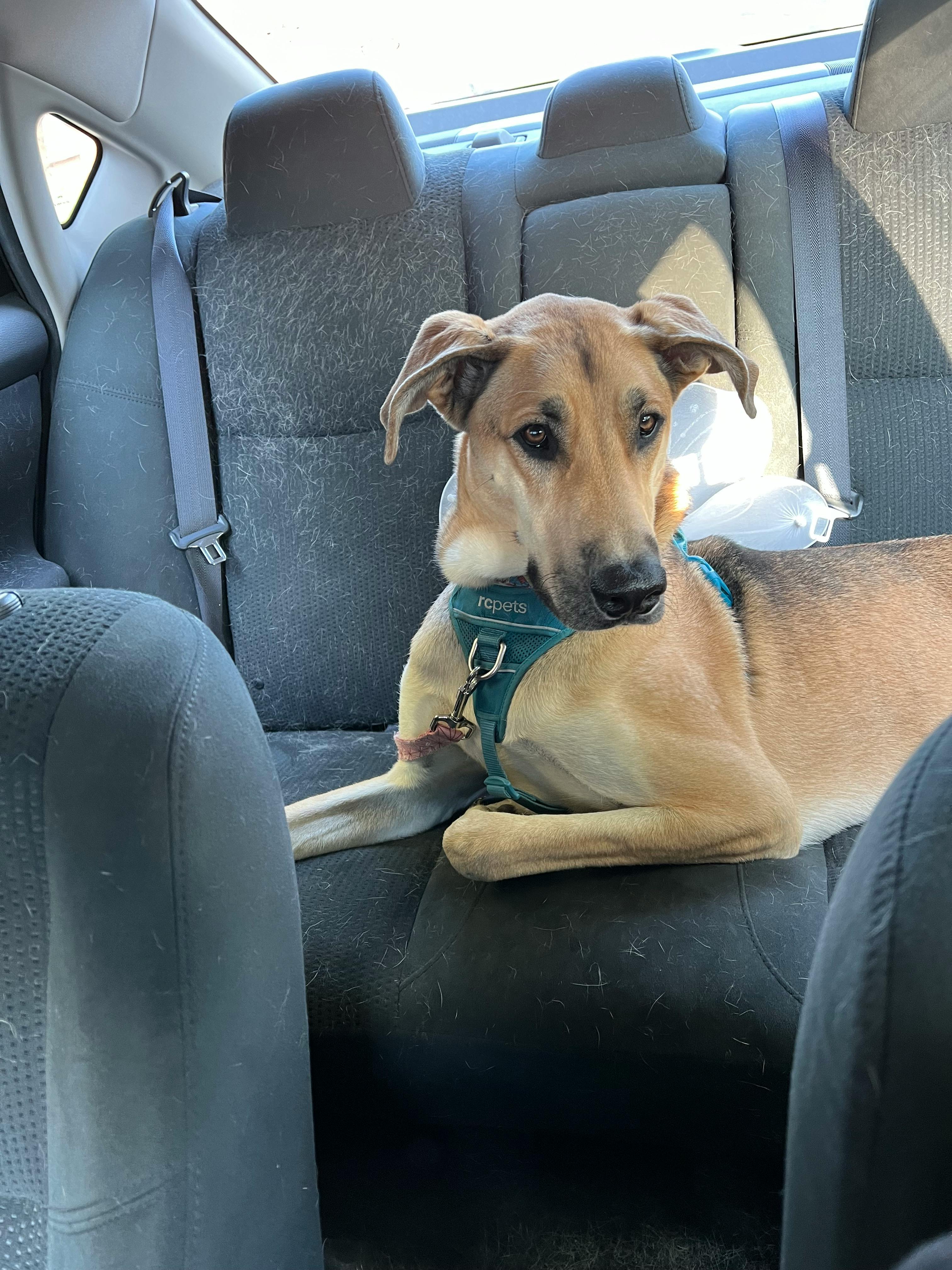 user avatar image for Agustin Martinez