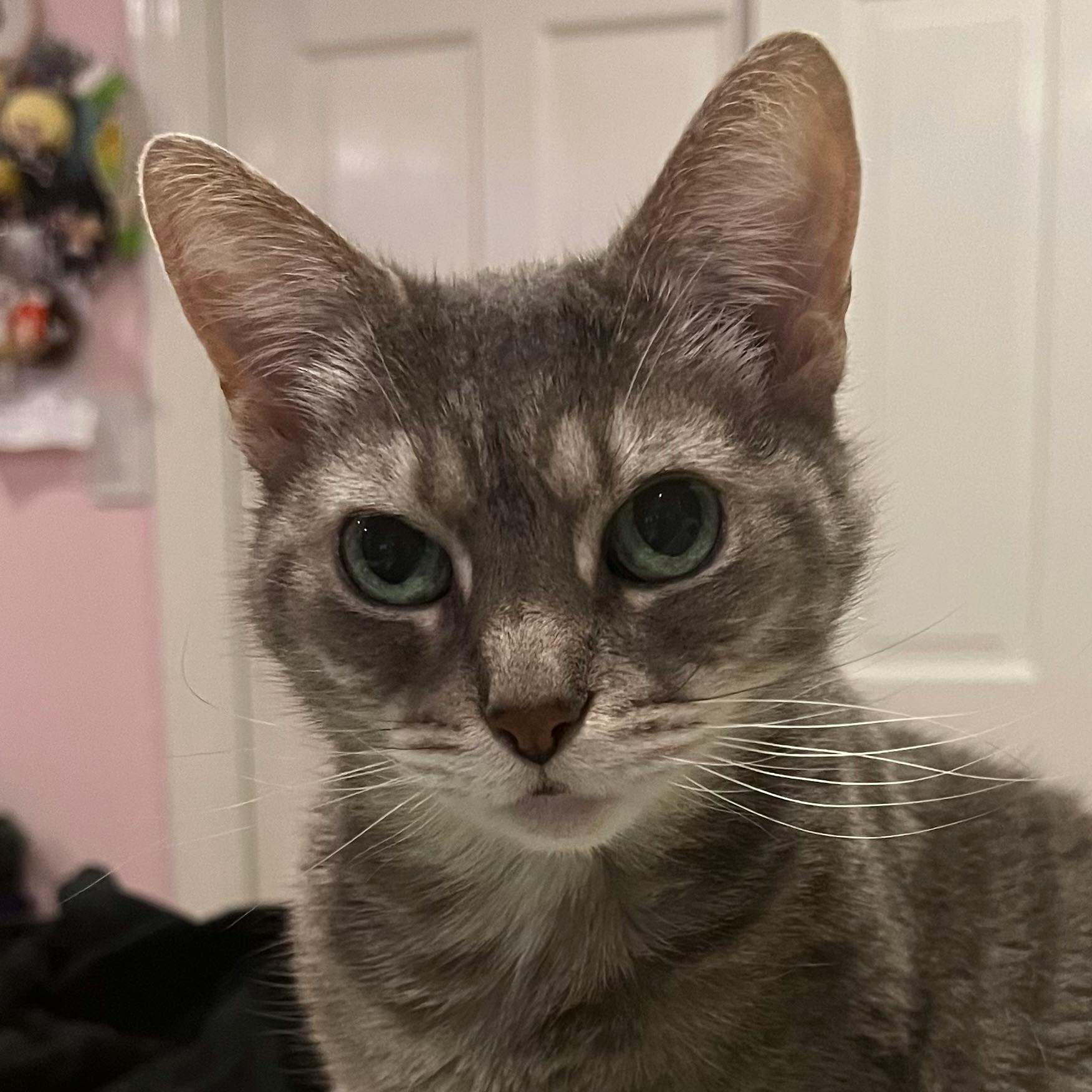 user avatar image for A.Griffin