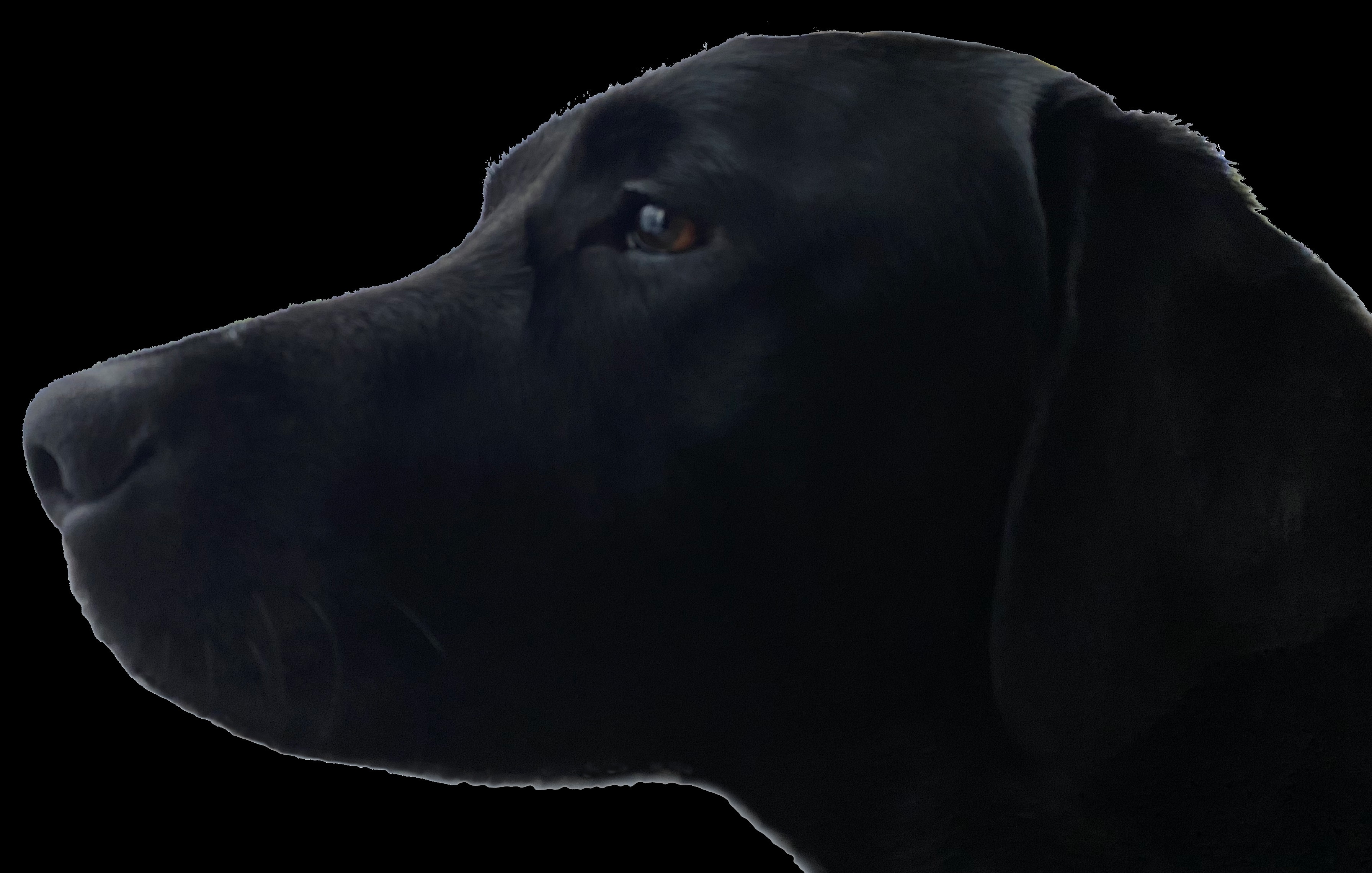 user avatar image for SeaJay