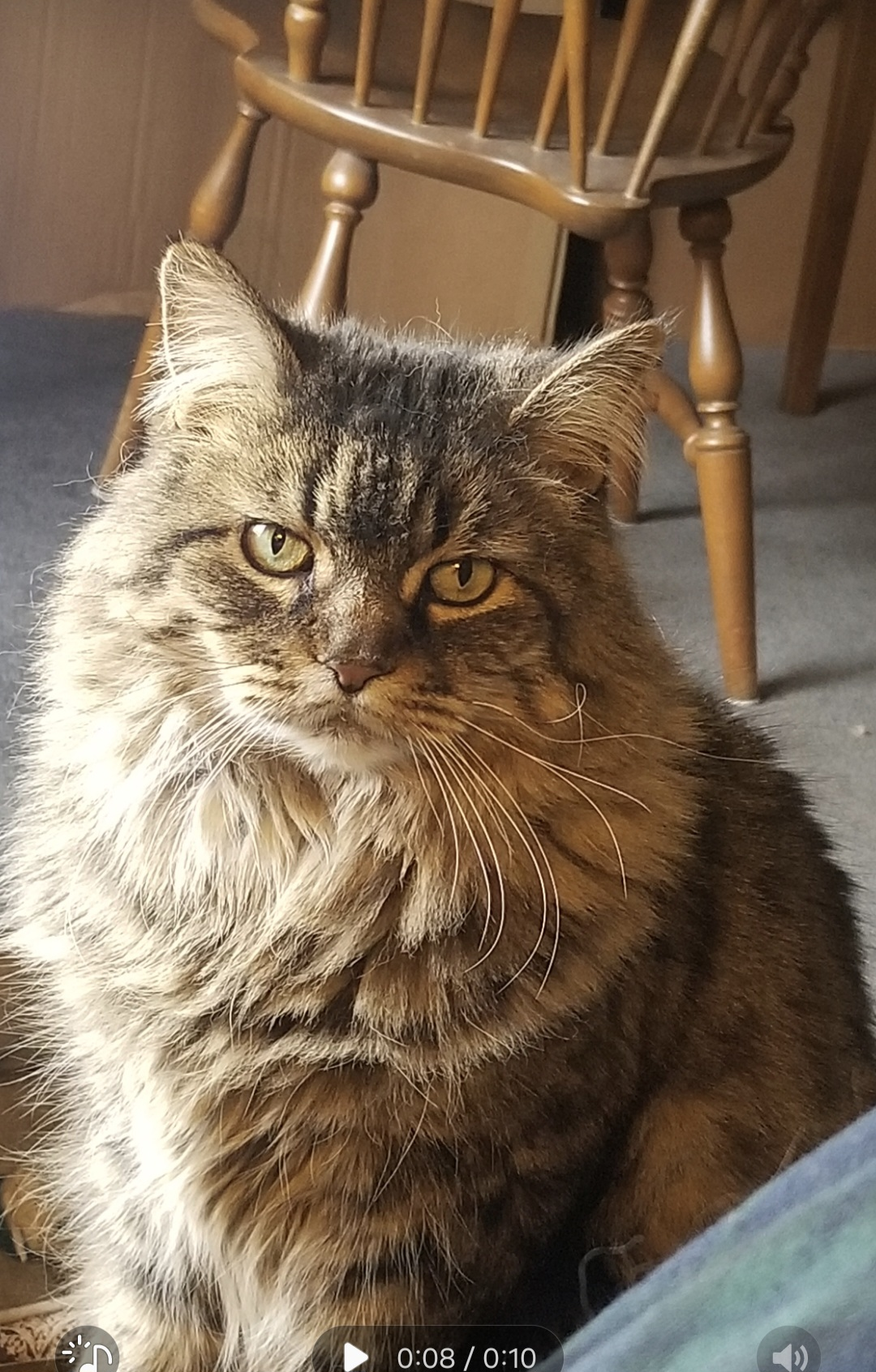 user avatar image for Judy P