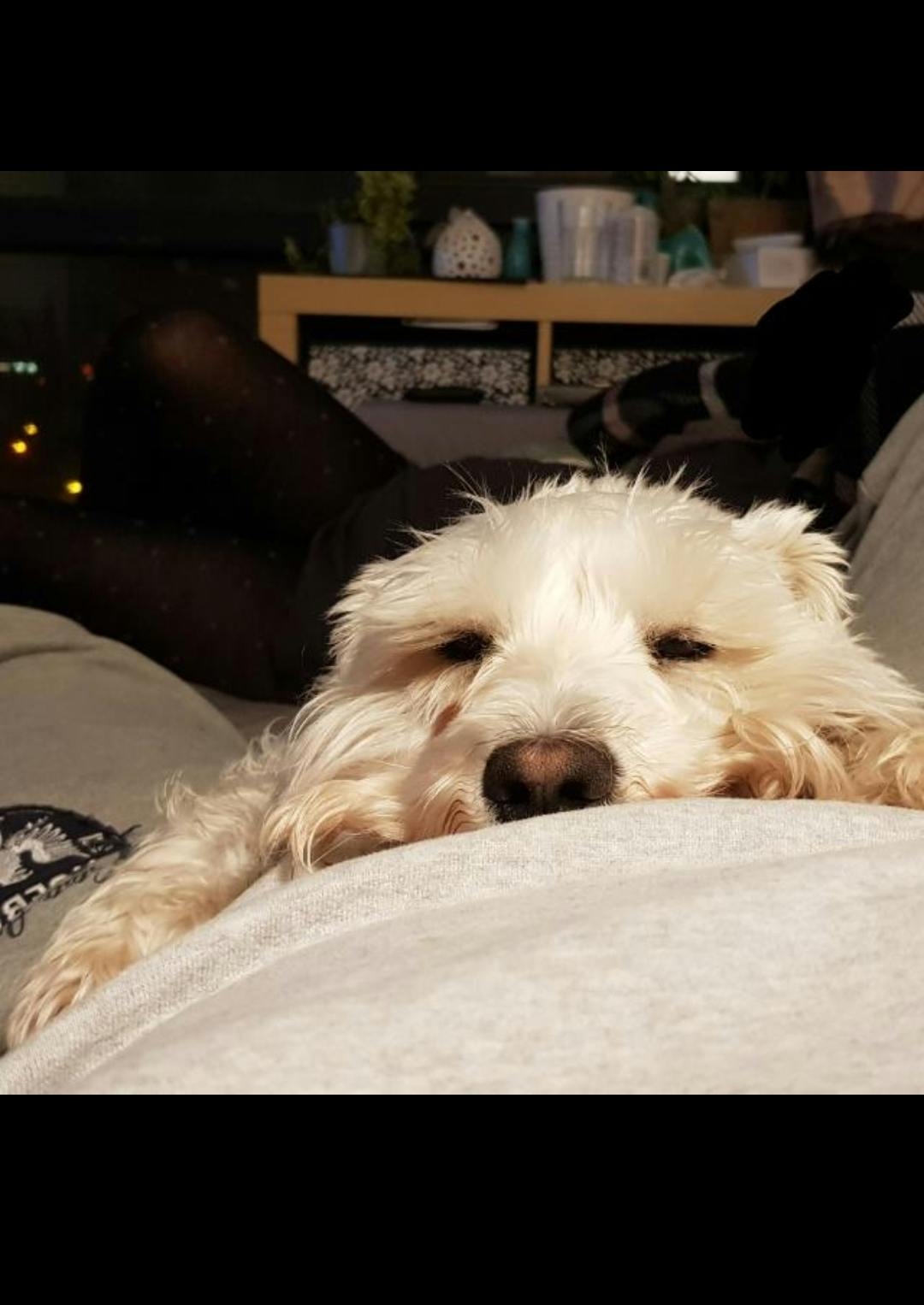 user avatar image for Barakka