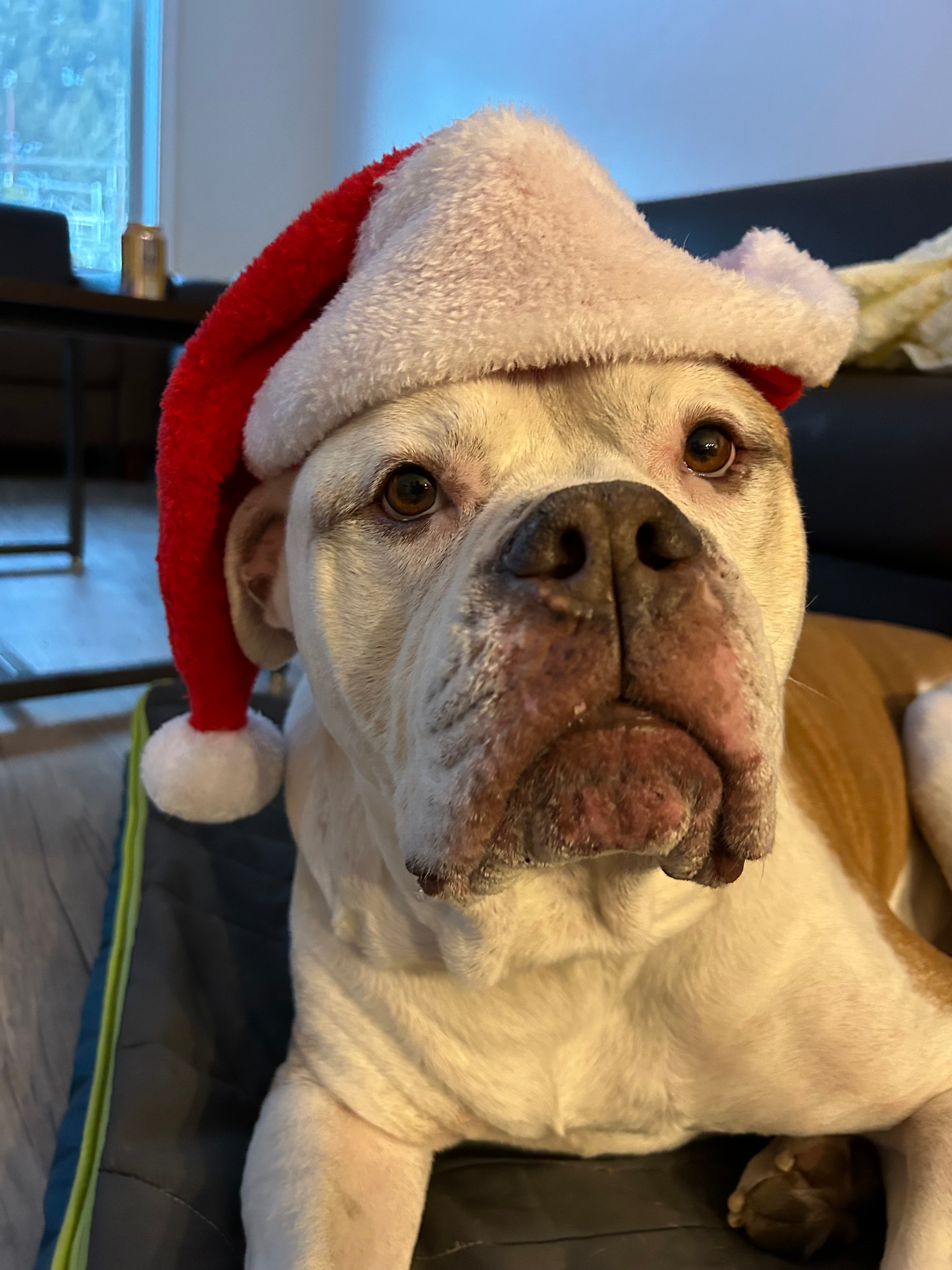 user avatar image for Kari