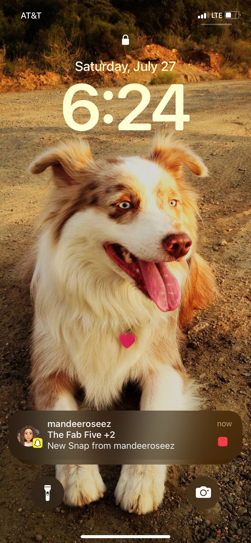 user avatar image for Mitchell Zunich