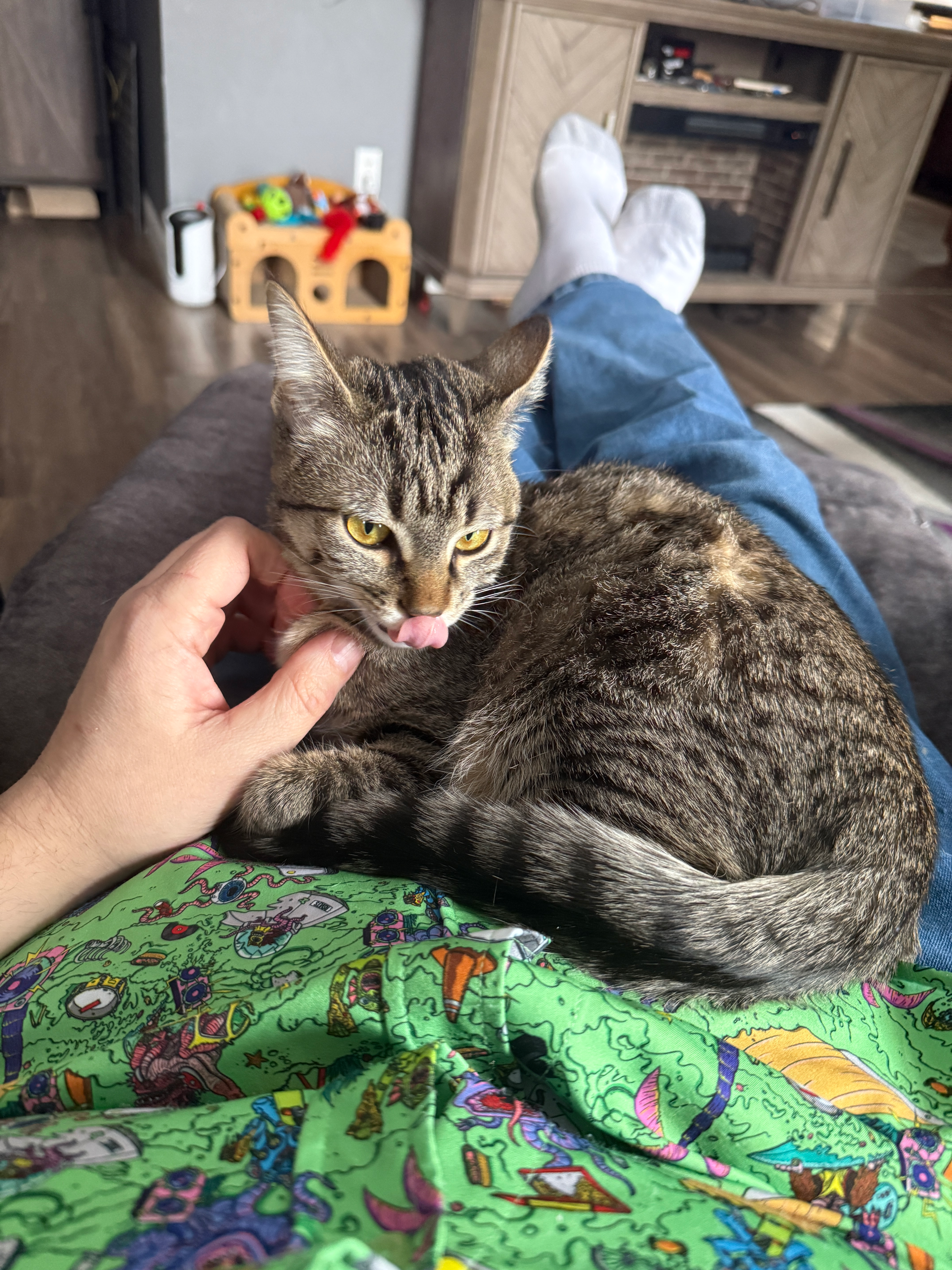 user avatar image for Jason Winterfeld