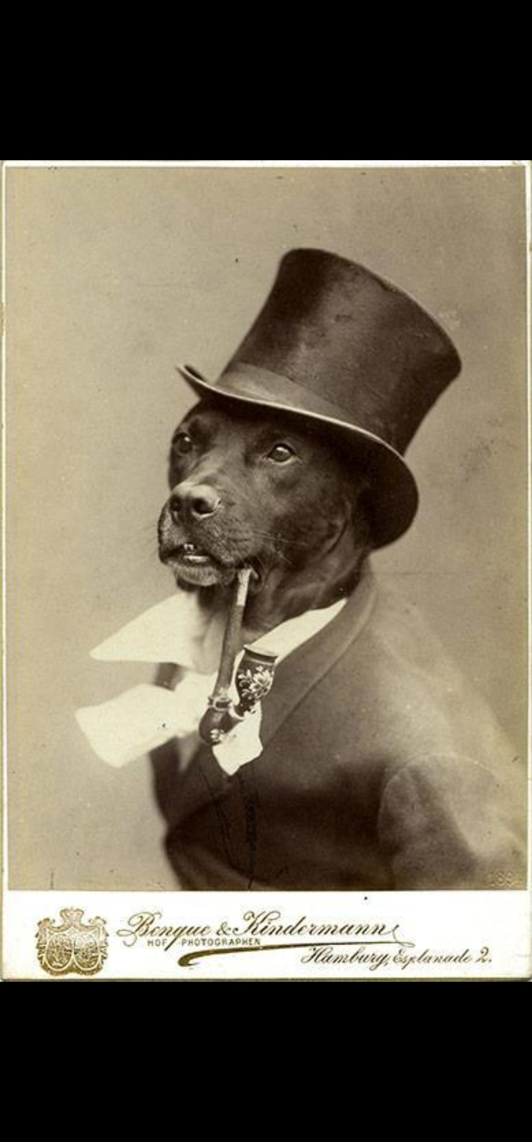 user avatar image for Doug Bredl