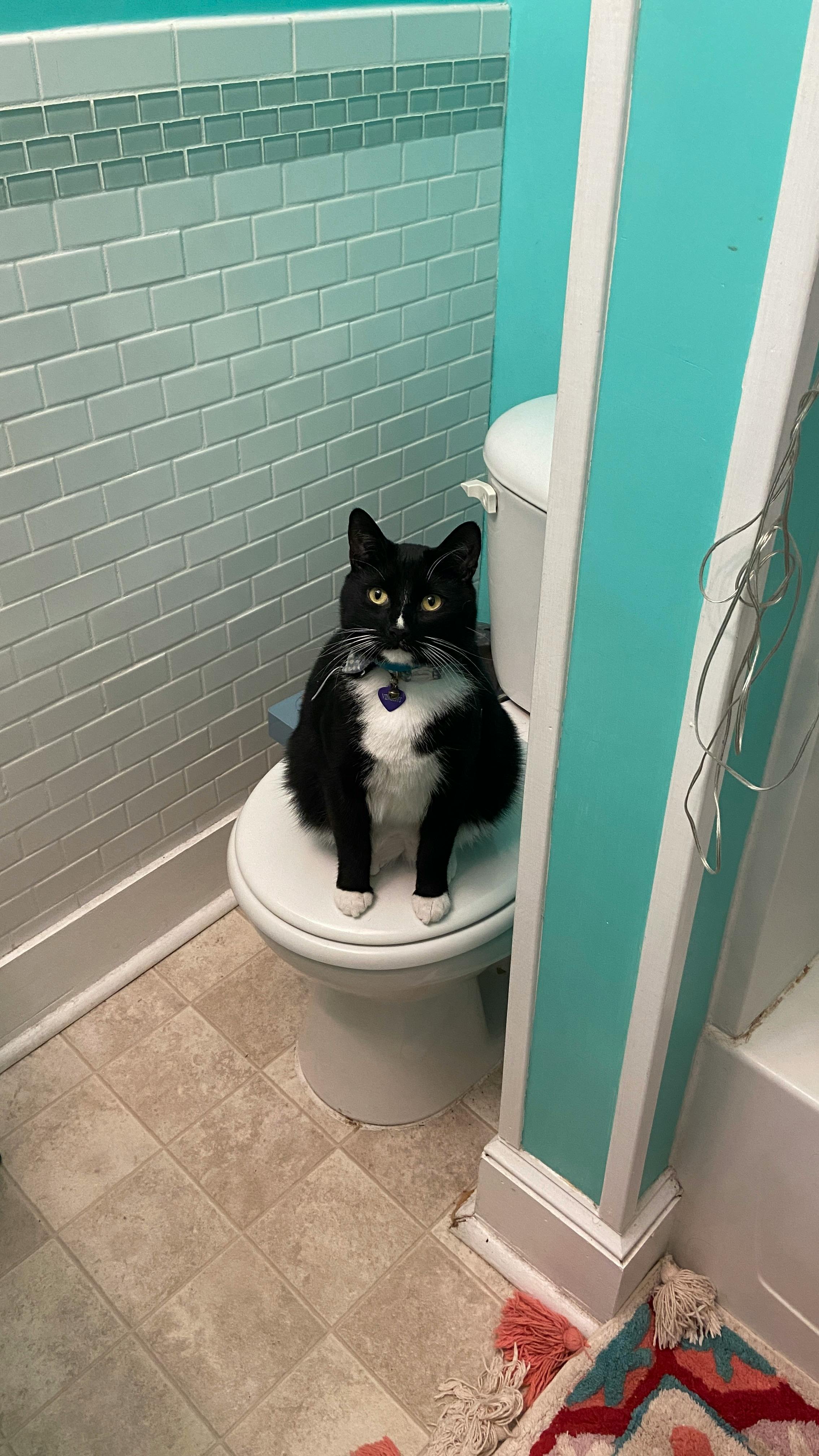 user avatar image for Julia C