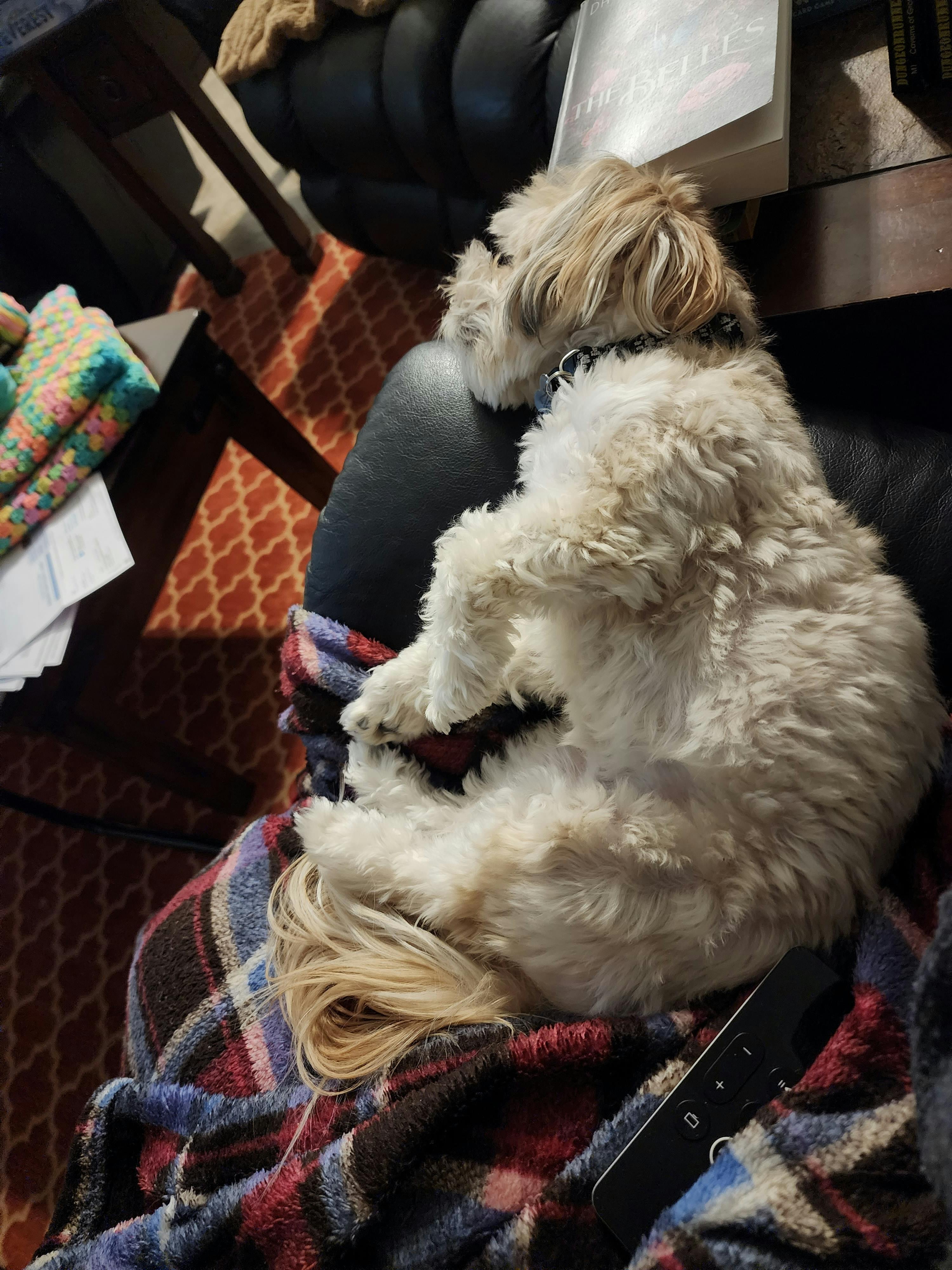 user avatar image for Susan Janowski 