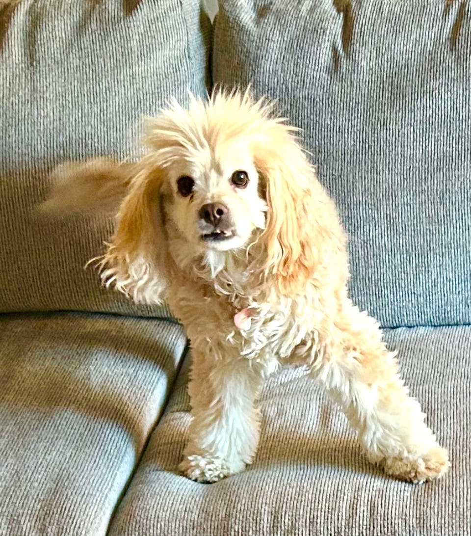 user avatar image for Davis R.