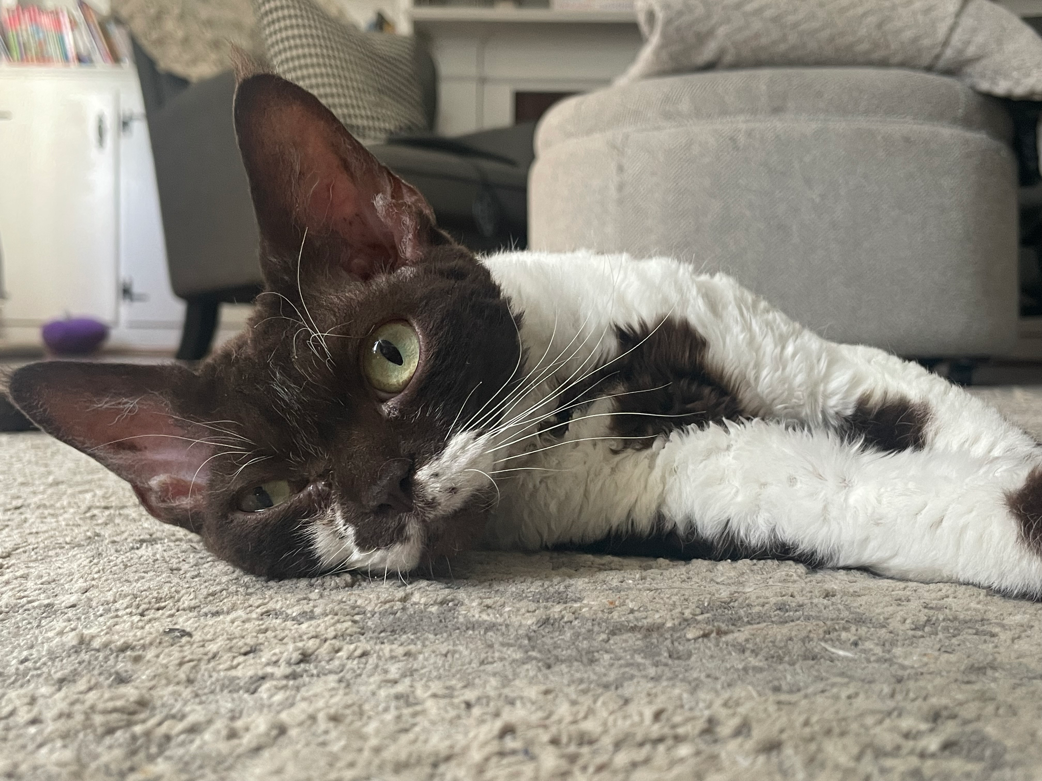 user avatar image for Ethan Goodman